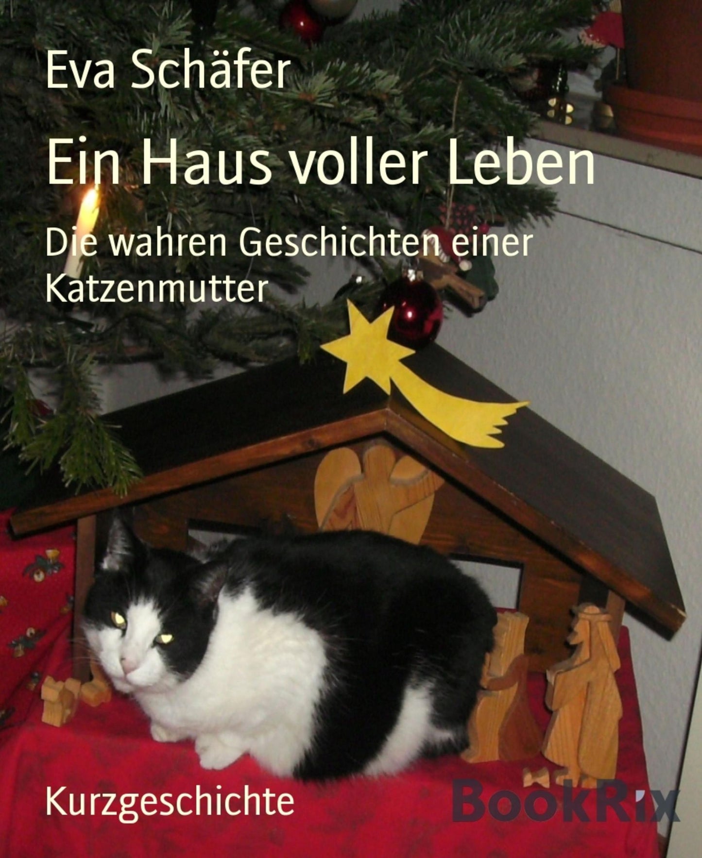 Ein Haus voller Leben: Die wahren Geschichten einer Katzenmutter