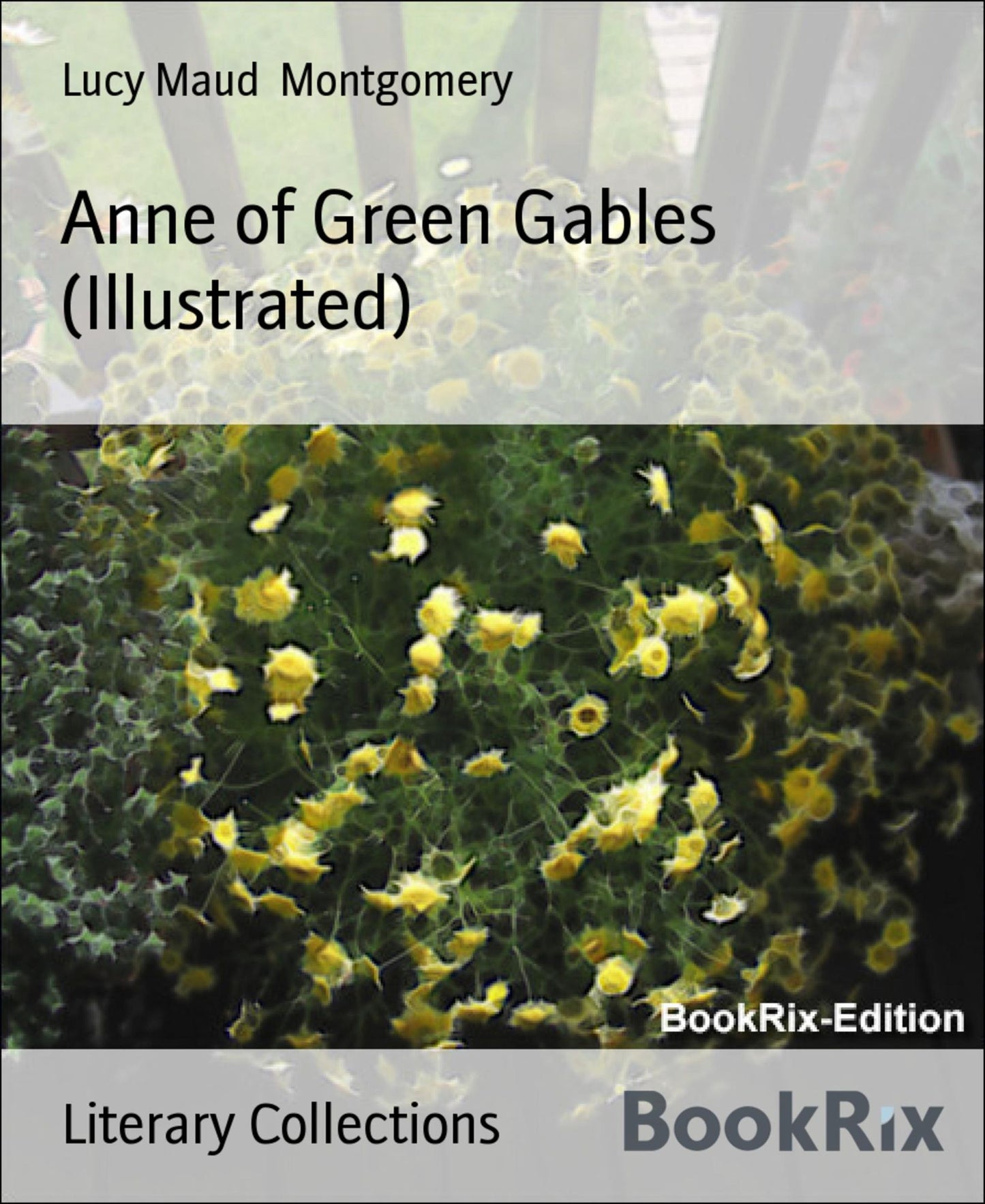 Anne of Green Gables (Illustrated)
