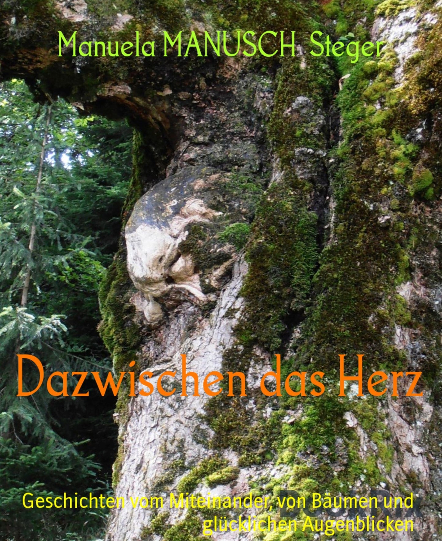 Dazwischen das Herz: Geschichten vom Miteinander, von Bäumen und glücklichen Augenblicken