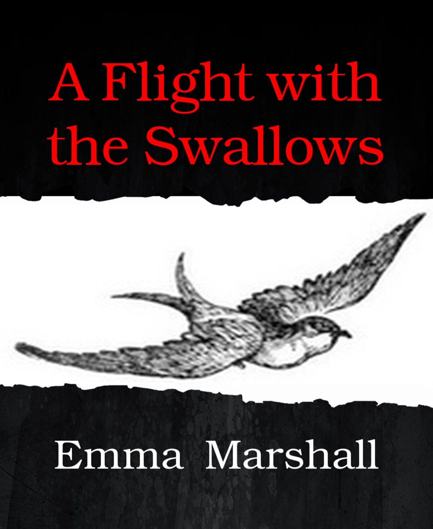 A Flight with the Swallows