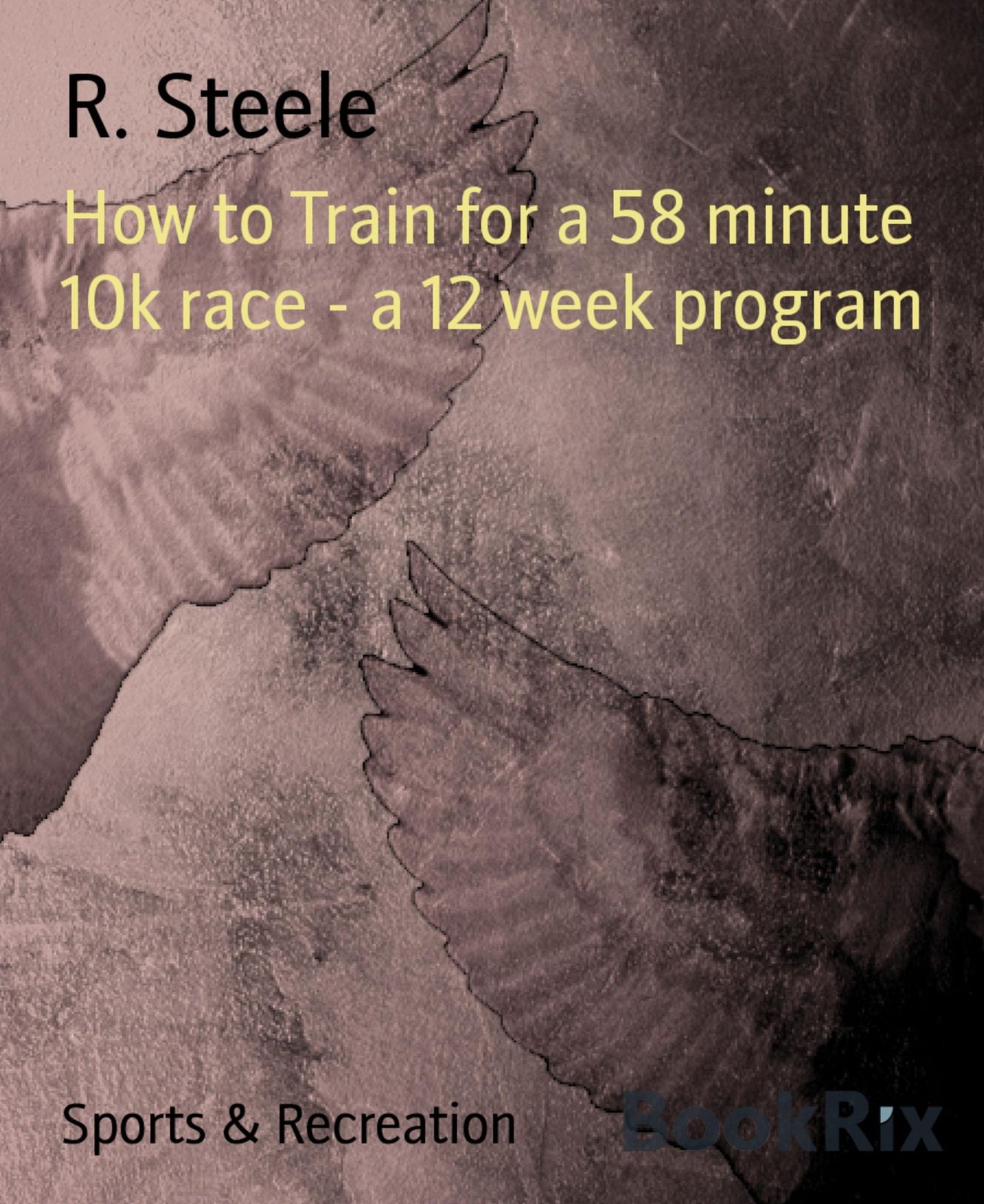 How to Train for a 58 minute 10k race - a 12 week program