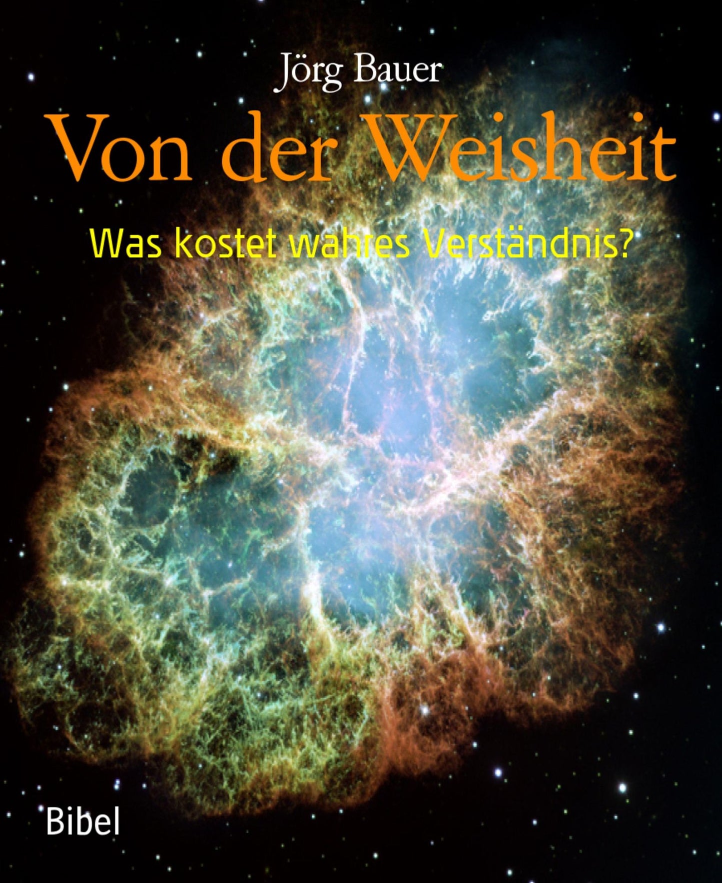 Von der Weisheit: Was kostet wahres Verständnis?