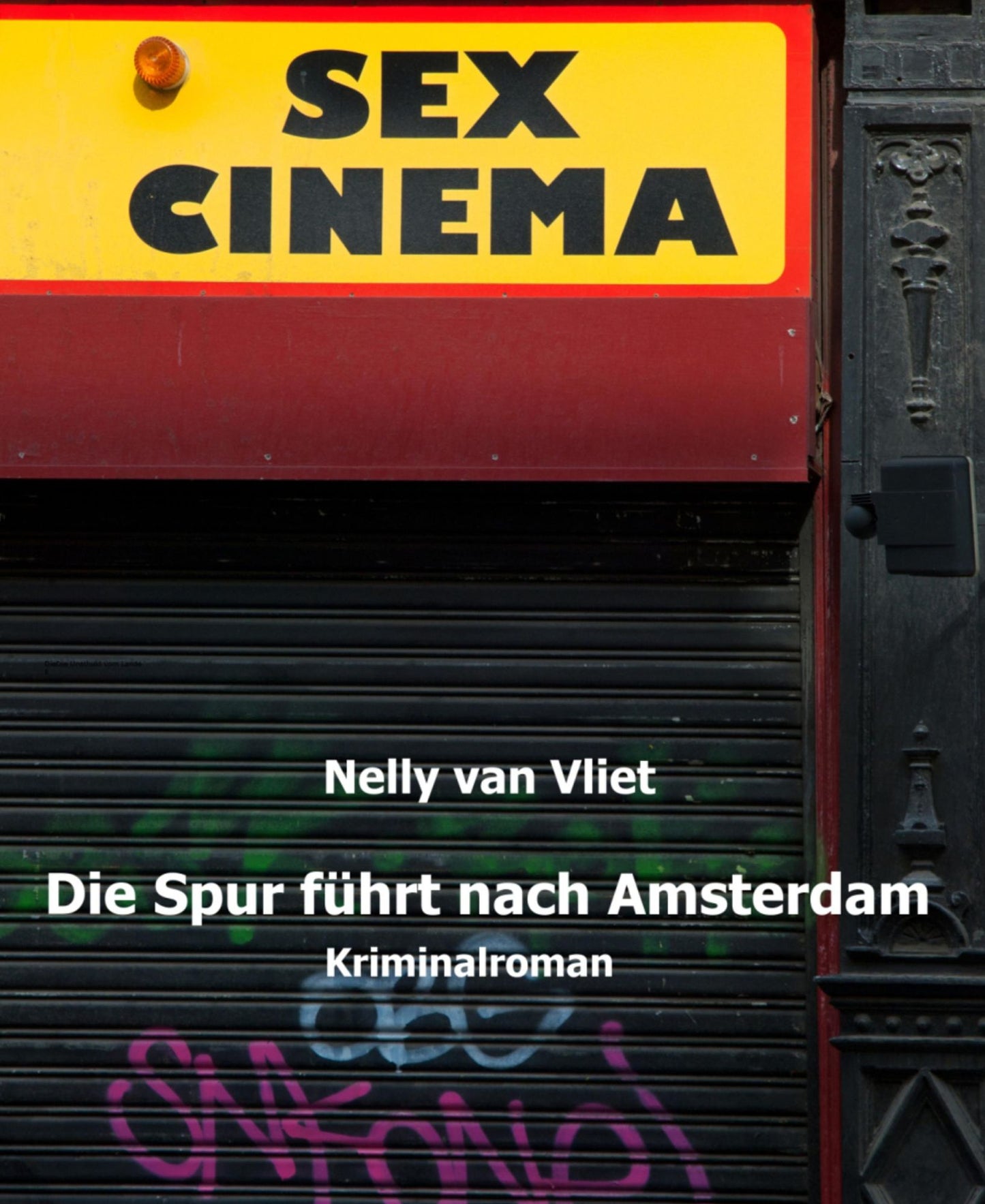 Die Spur führt nach Amsterdam: Kriminalroman