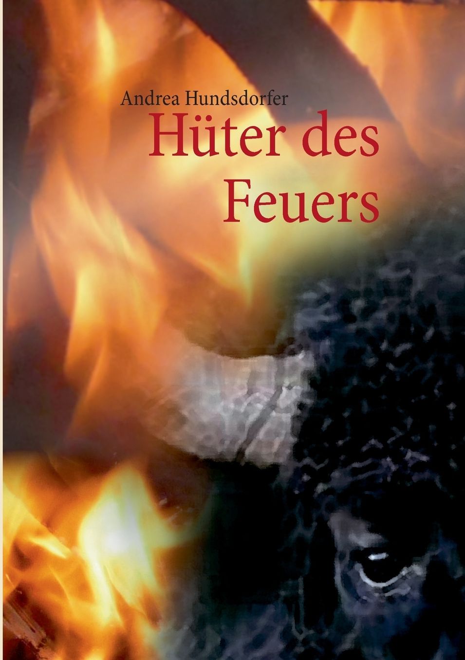 H?ter des Feuers
