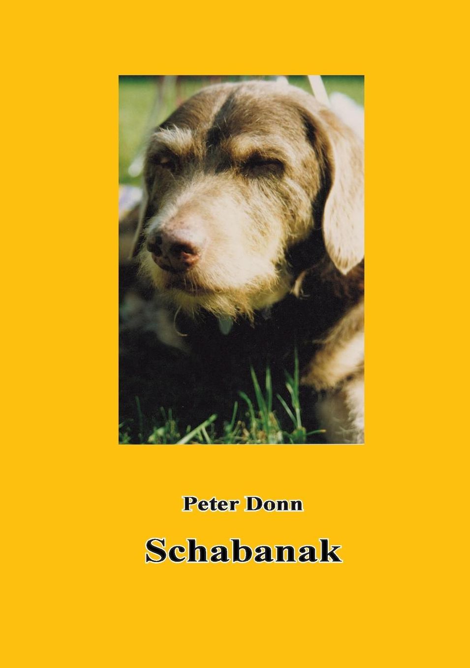 Schabanak