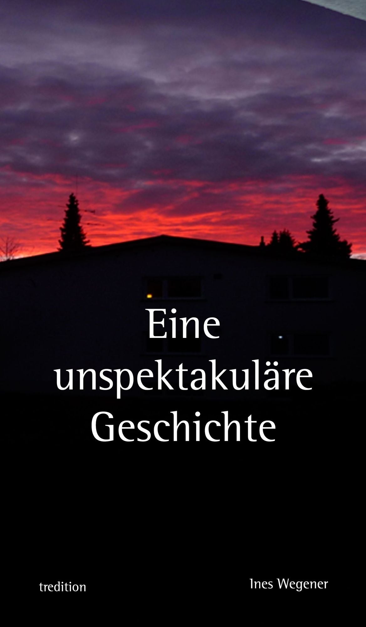 Eine unspektakuläre Geschichte: R o m a n