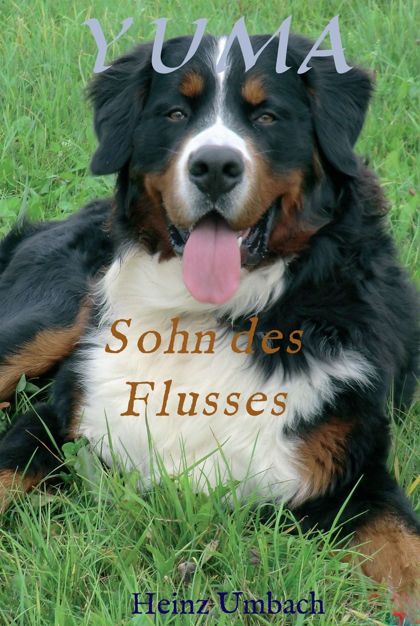 YUMA,Sohn des Flusses: Lustige Abenteuer eines halbstarken,heranwachsenden Berner-Sennen Hundes