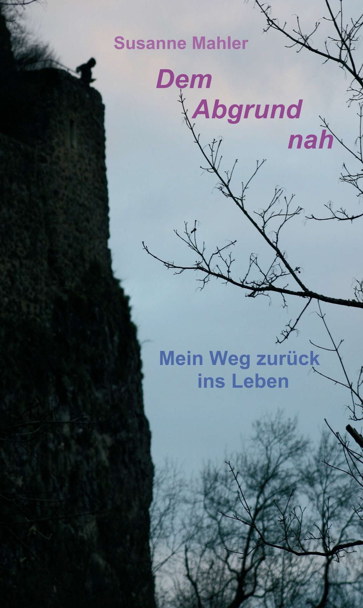 Dem Abgrund nah: Mein Weg zurück ins Leben