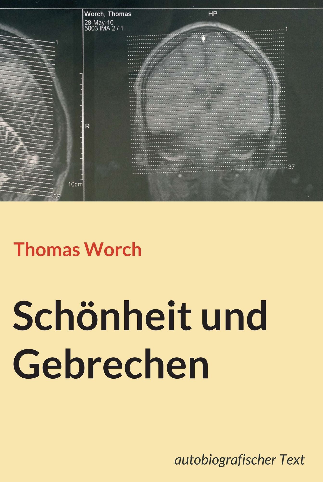 Schönheit und Gebrechen: Roman