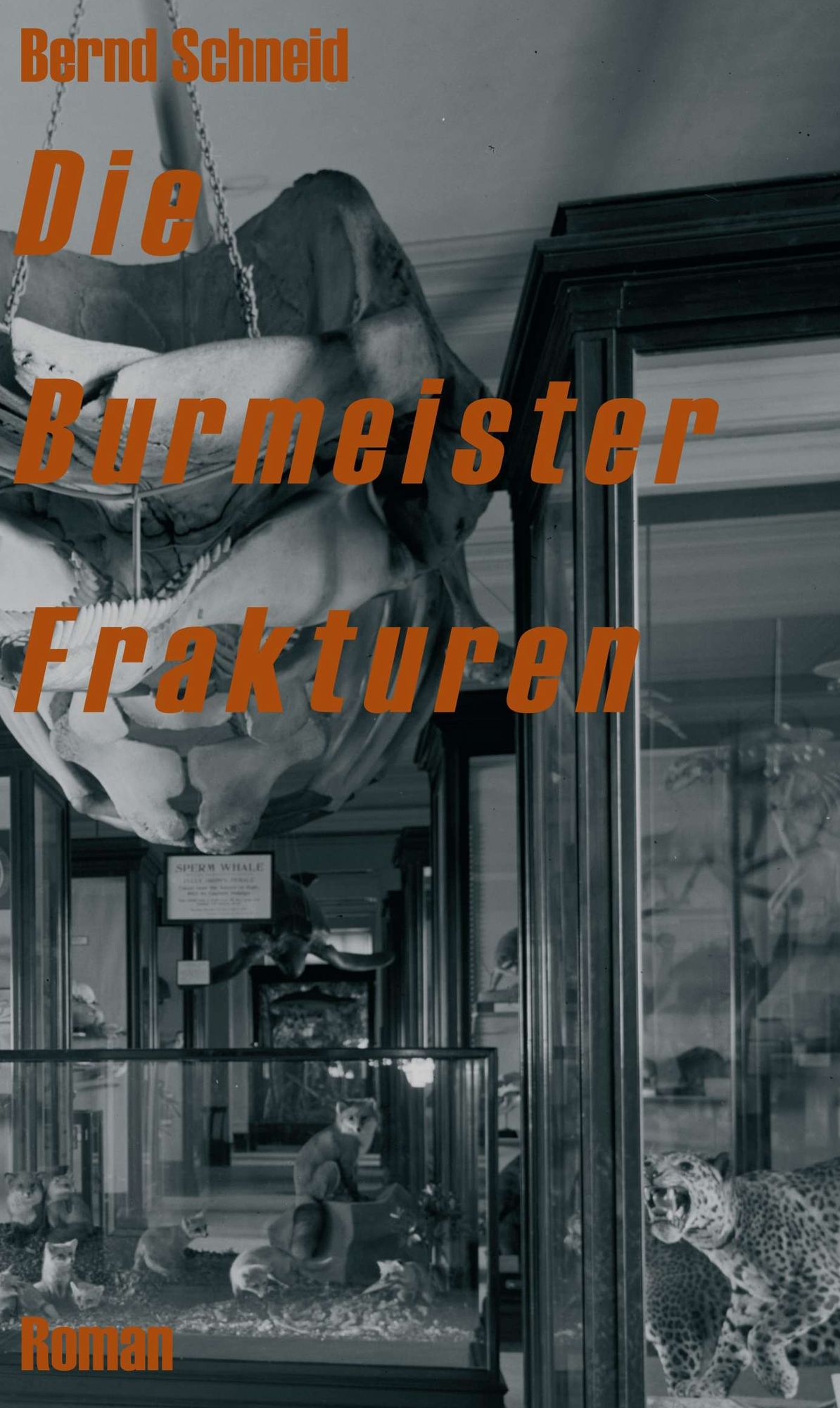Die Burmeister Frakturen: Roman