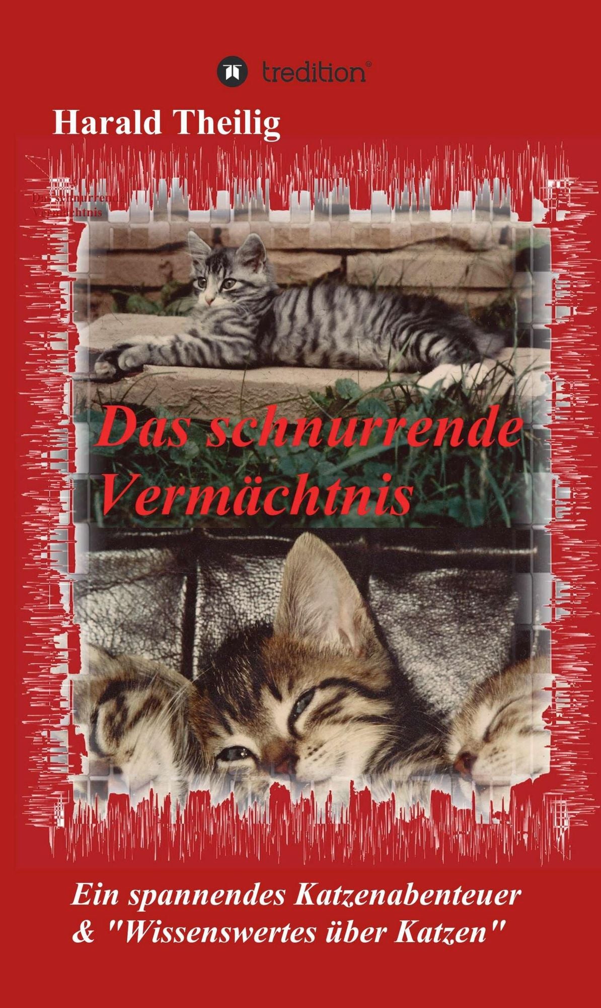Das schnurrende Vermächtnis: Ein spannendes Katzenabenteuer & "Wissenswertes über Katzen