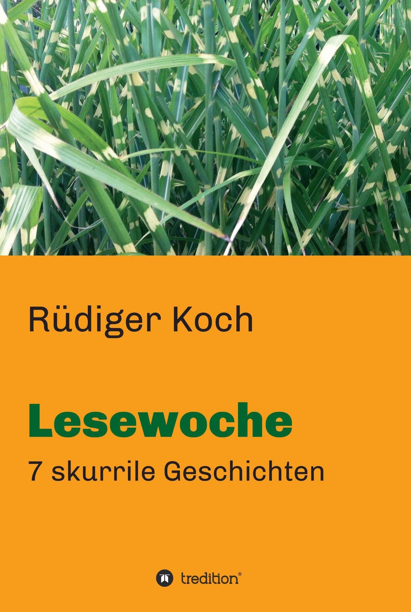 Lesewoche: 7 skurrile Geschichten