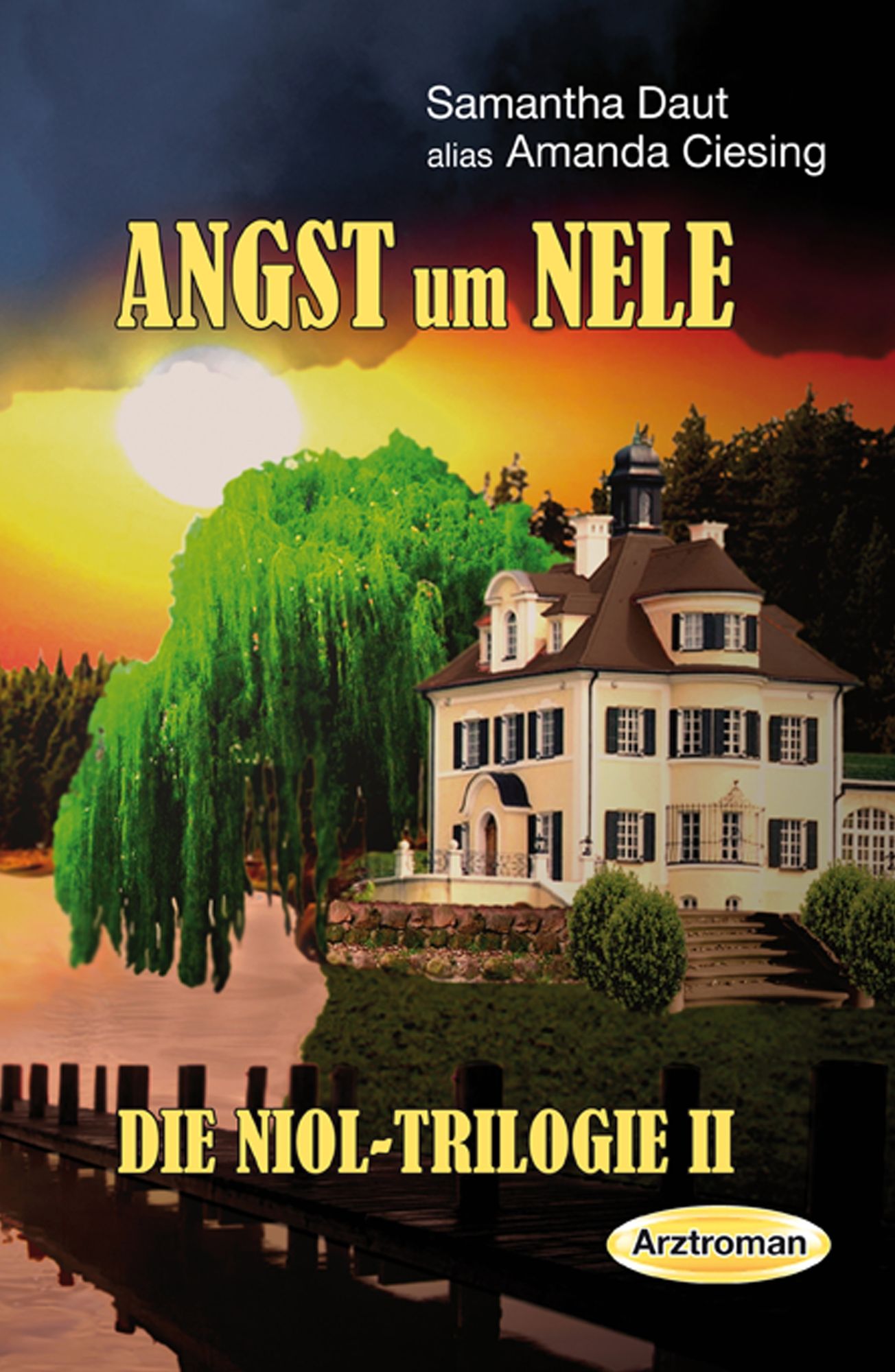Angst um Nele: Die NIOL-Trilogie, Band 2
