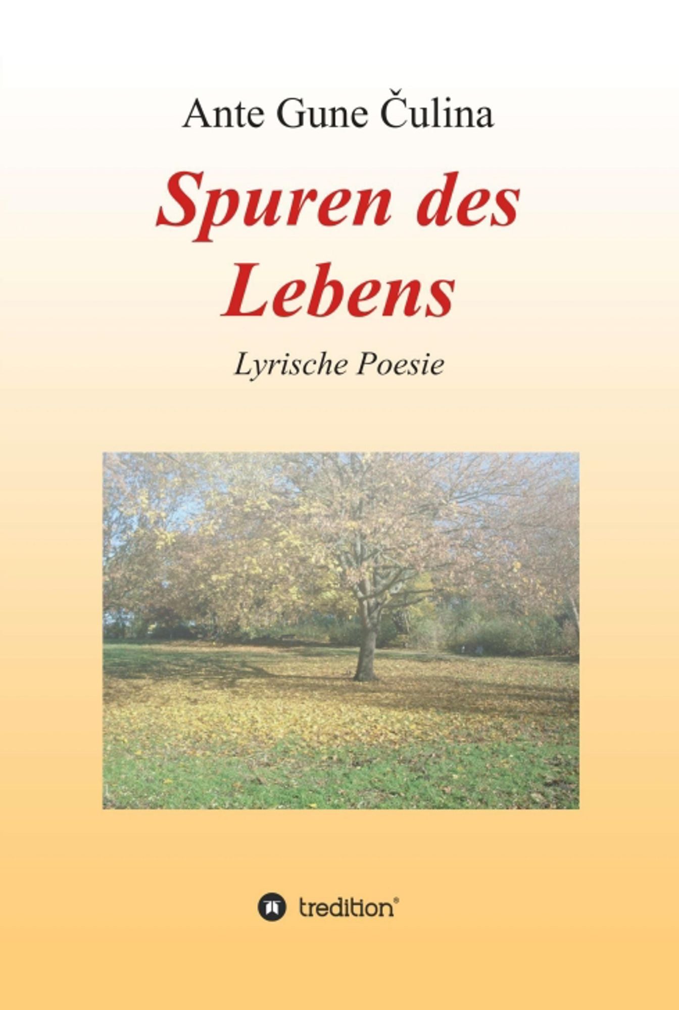 Spuren des Lebens: Lyrische Poesie
