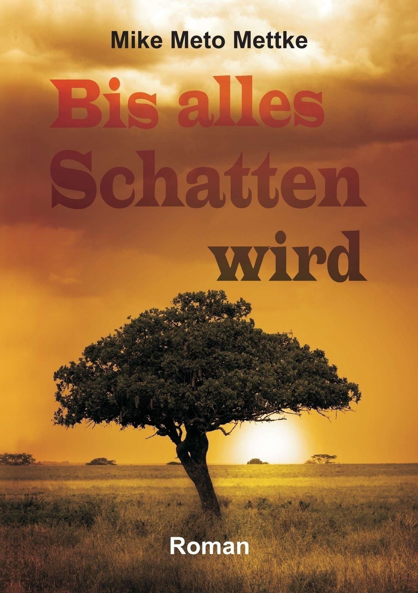Bis alles Schatten wird