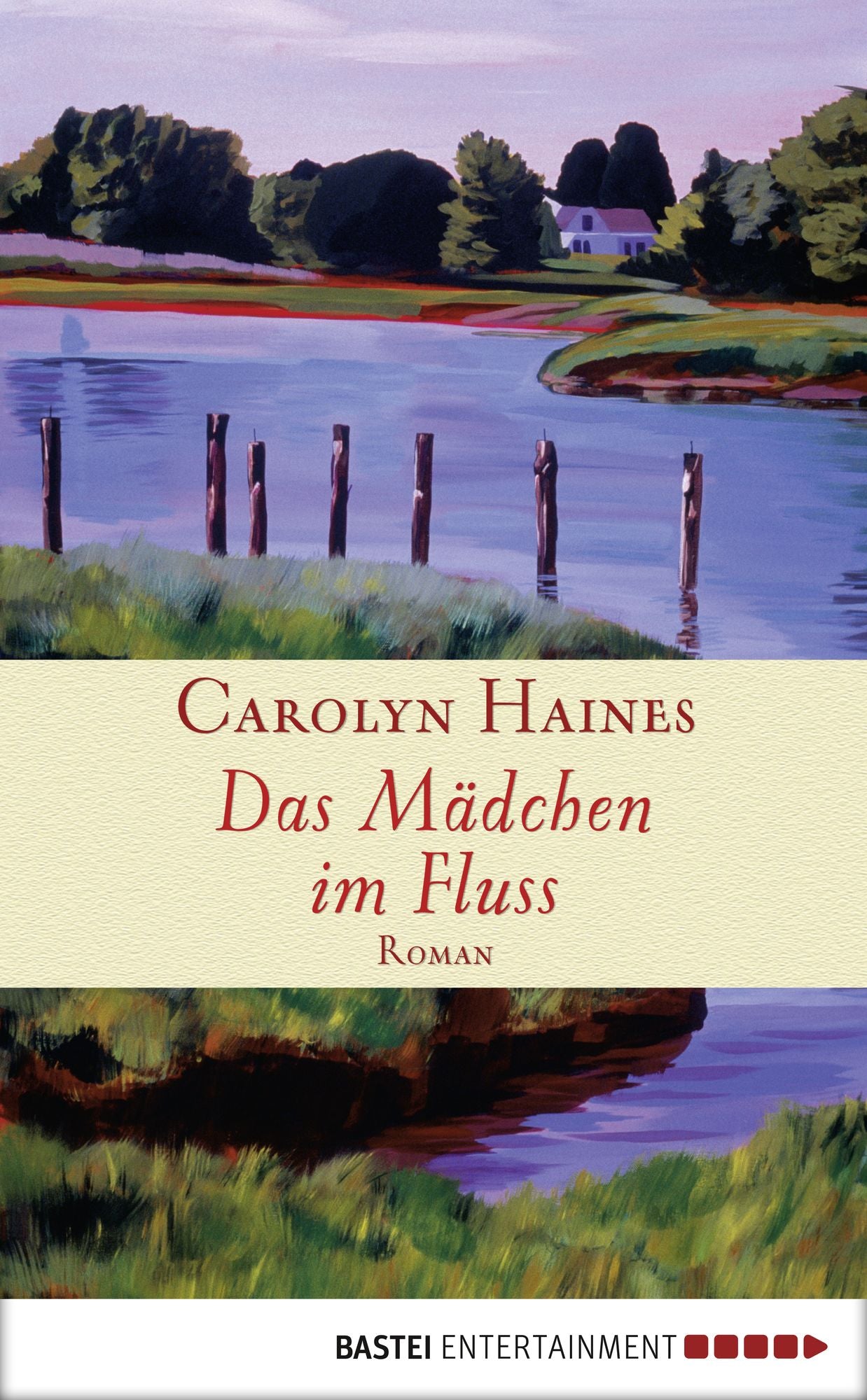 Das Mädchen im Fluss: Roman