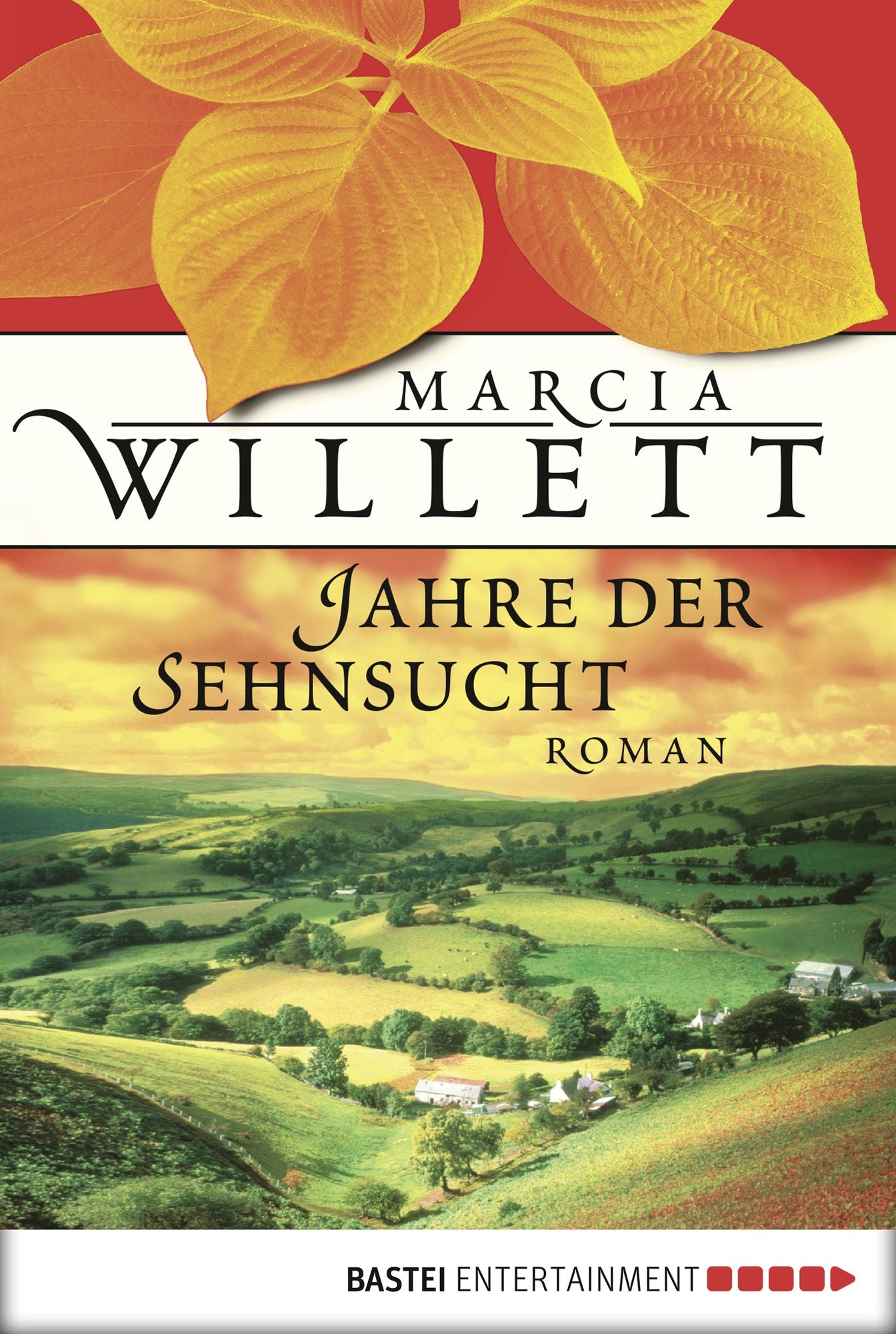 Jahre der Sehnsucht: Roman