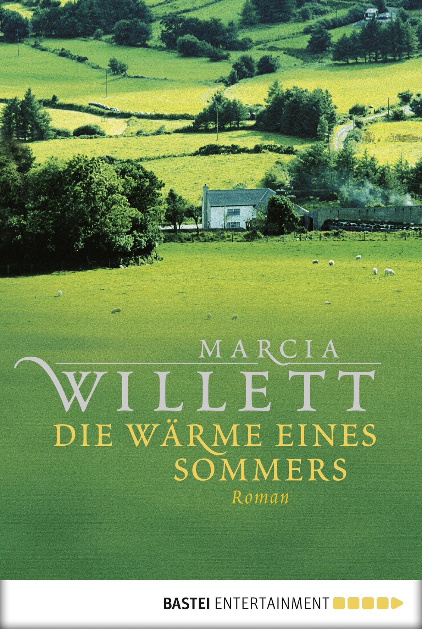 Die Wärme eines Sommers: Roman