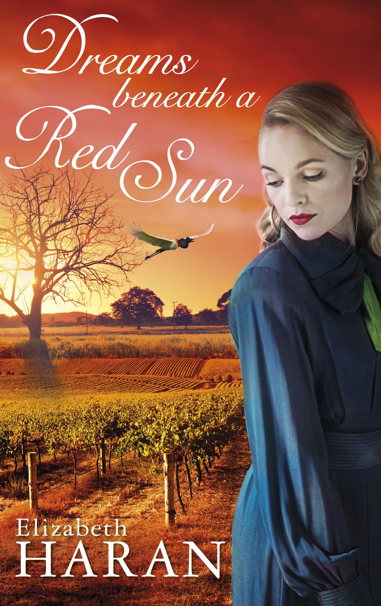 Dreams beneath a Red Sun