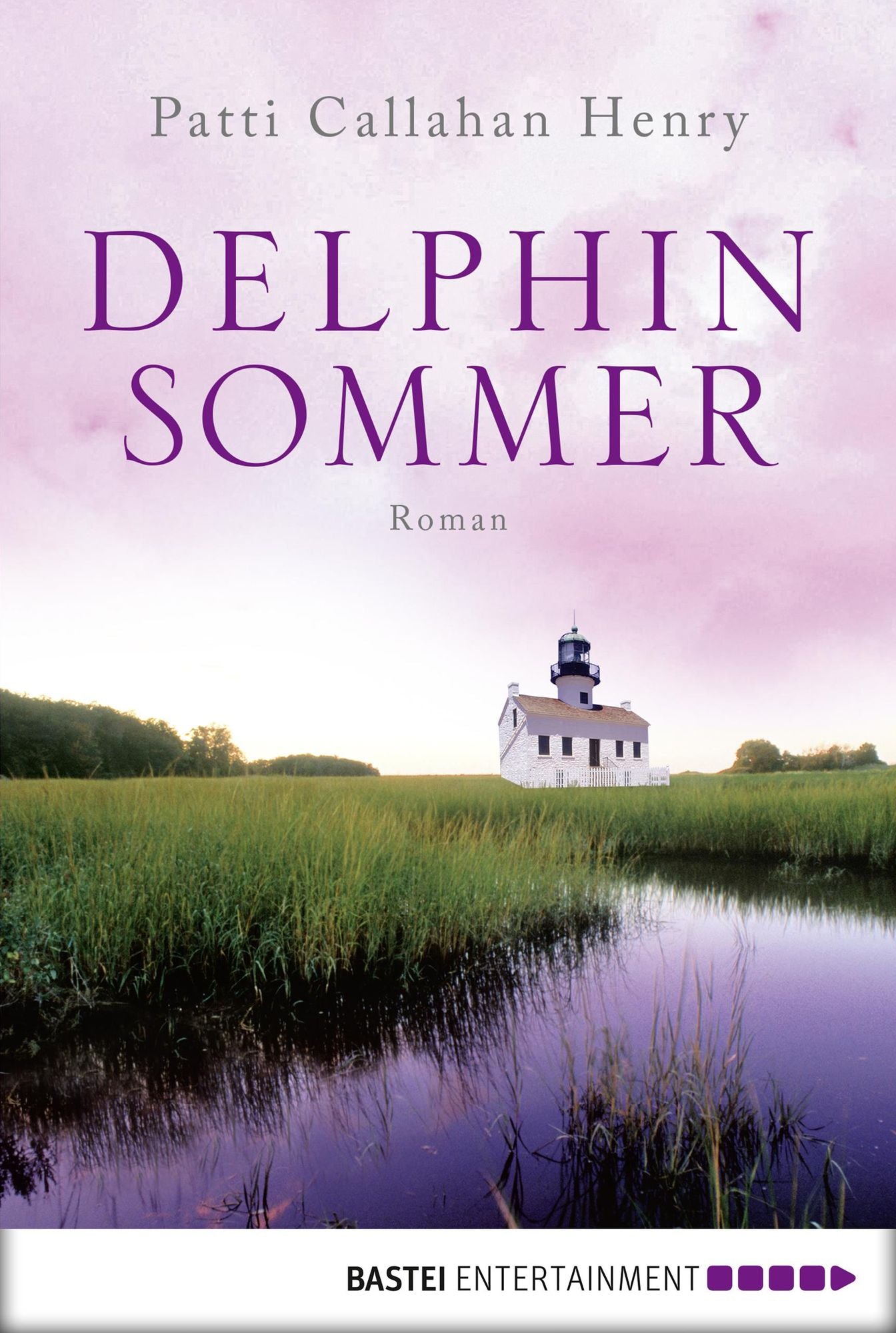 Delphinsommer: Roman