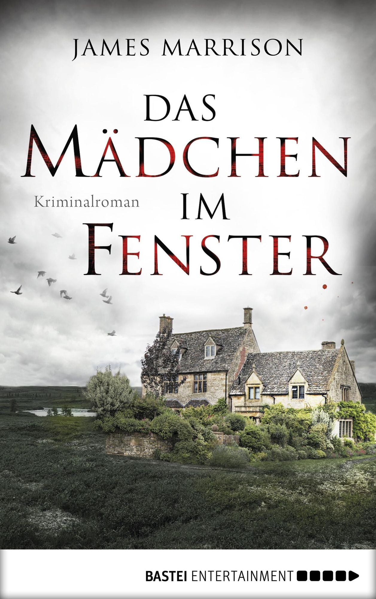 Das Mädchen im Fenster: Kriminalroman