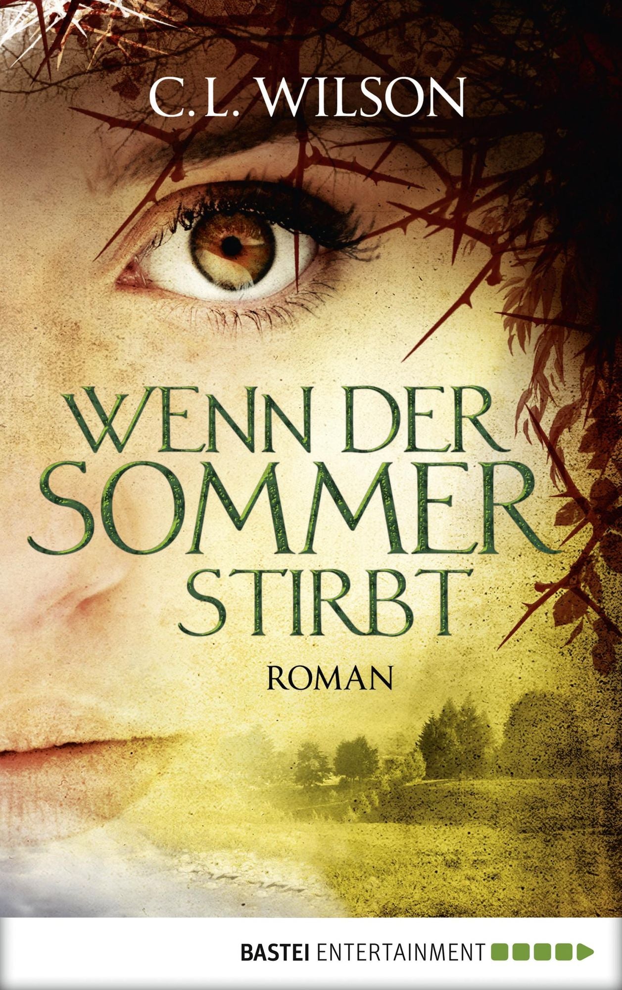 Wenn der Sommer stirbt: Roman