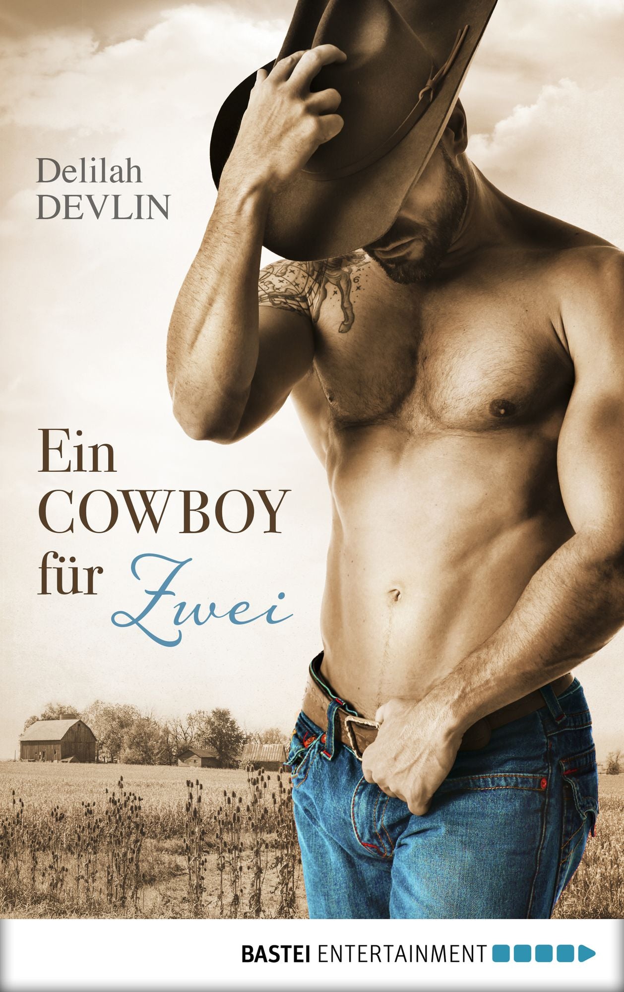 Ein Cowboy für zwei: Erotische Cowboy-Storys