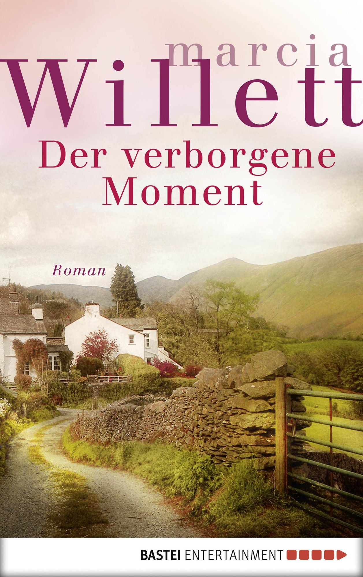 Der verborgene Moment: Roman
