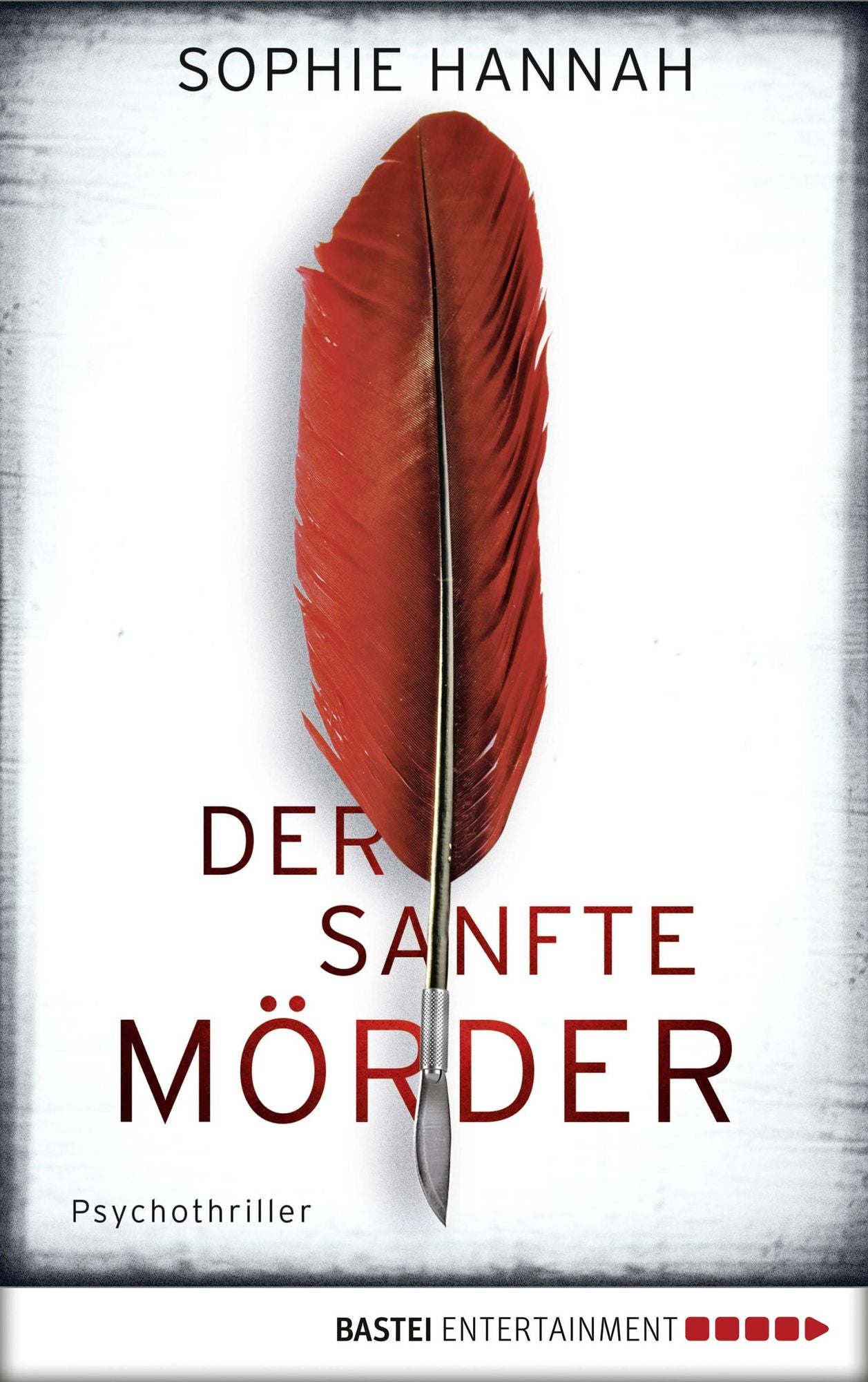 Der sanfte Mörder: Psychothriller