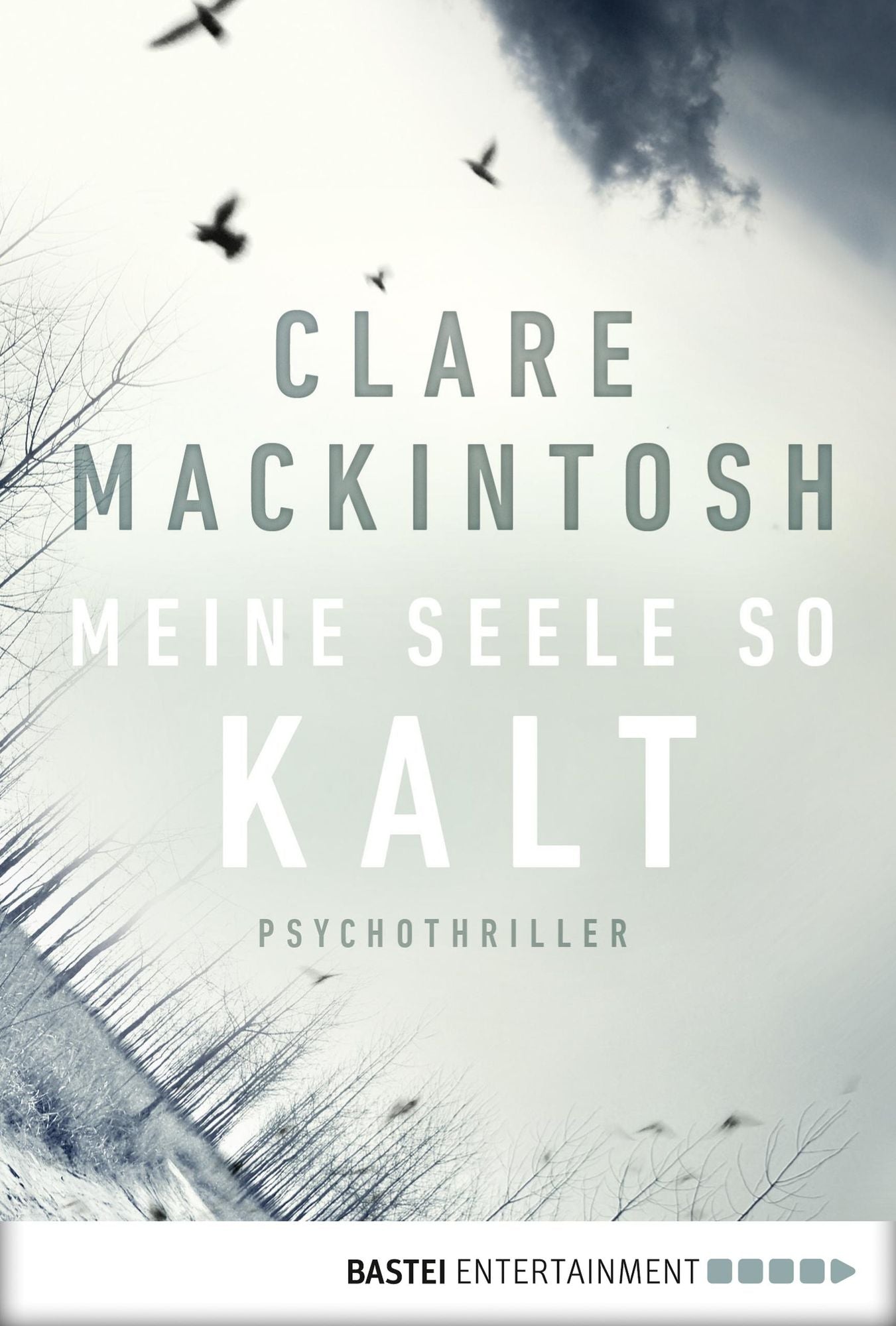 Meine Seele so kalt: Psychothriller