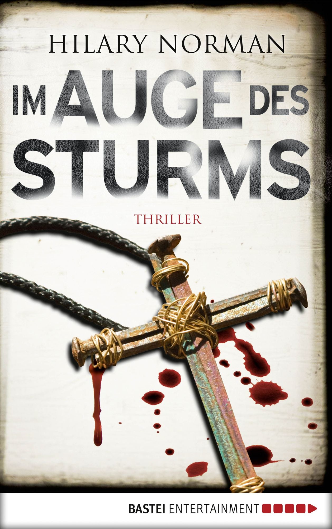 Im Auge des Sturms: Thriller