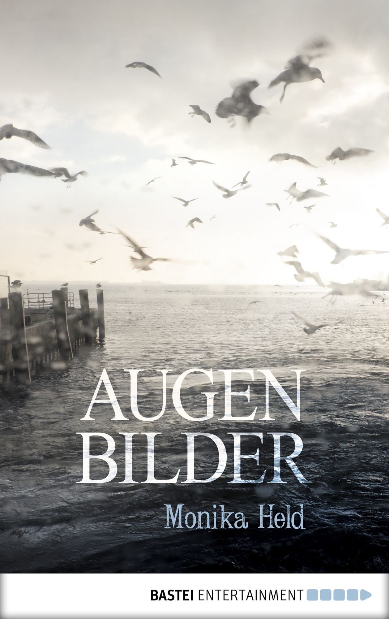 Augenbilder: Roman