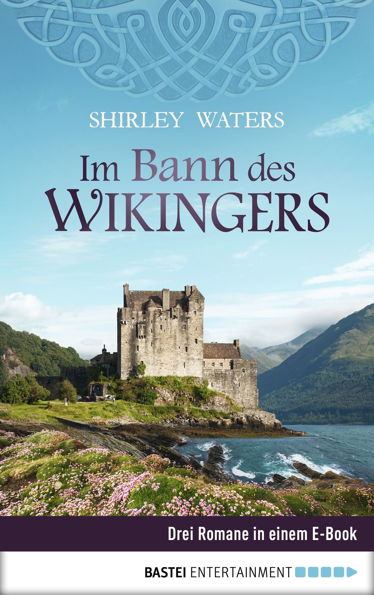 Im Bann des Wikingers