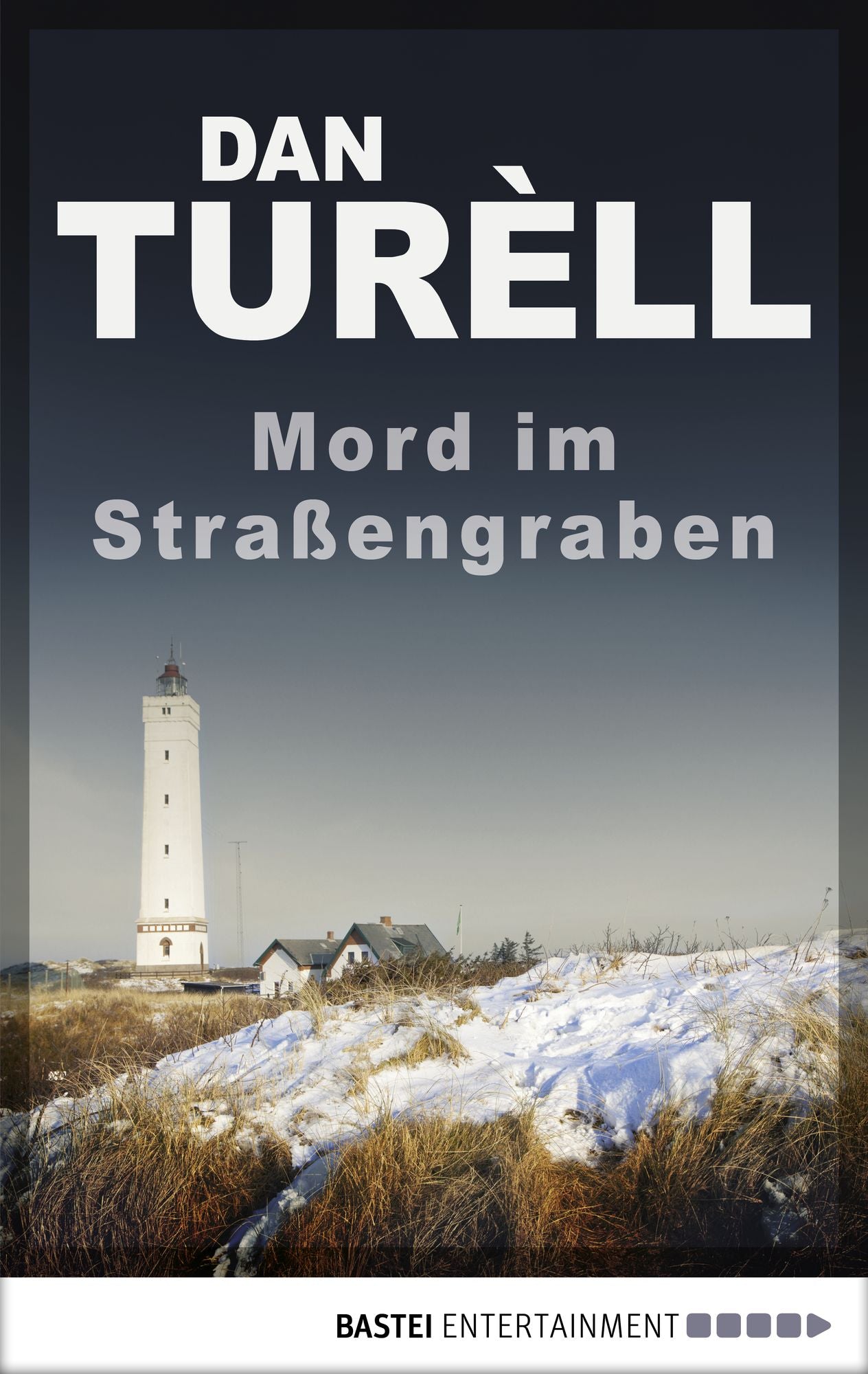 Mord im Straßengraben: Kopenhagen-Krimi