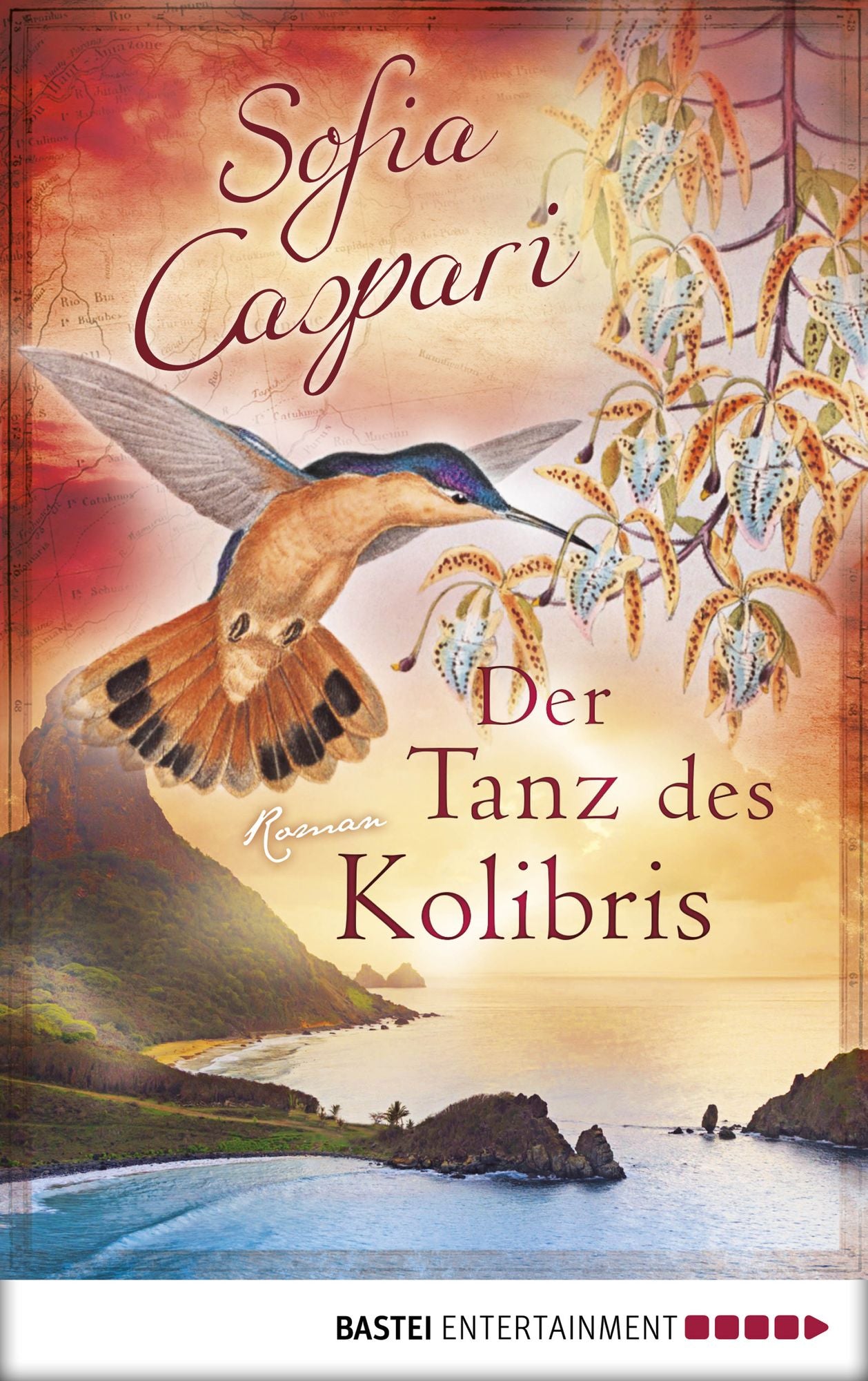 Der Tanz des Kolibris: Roman