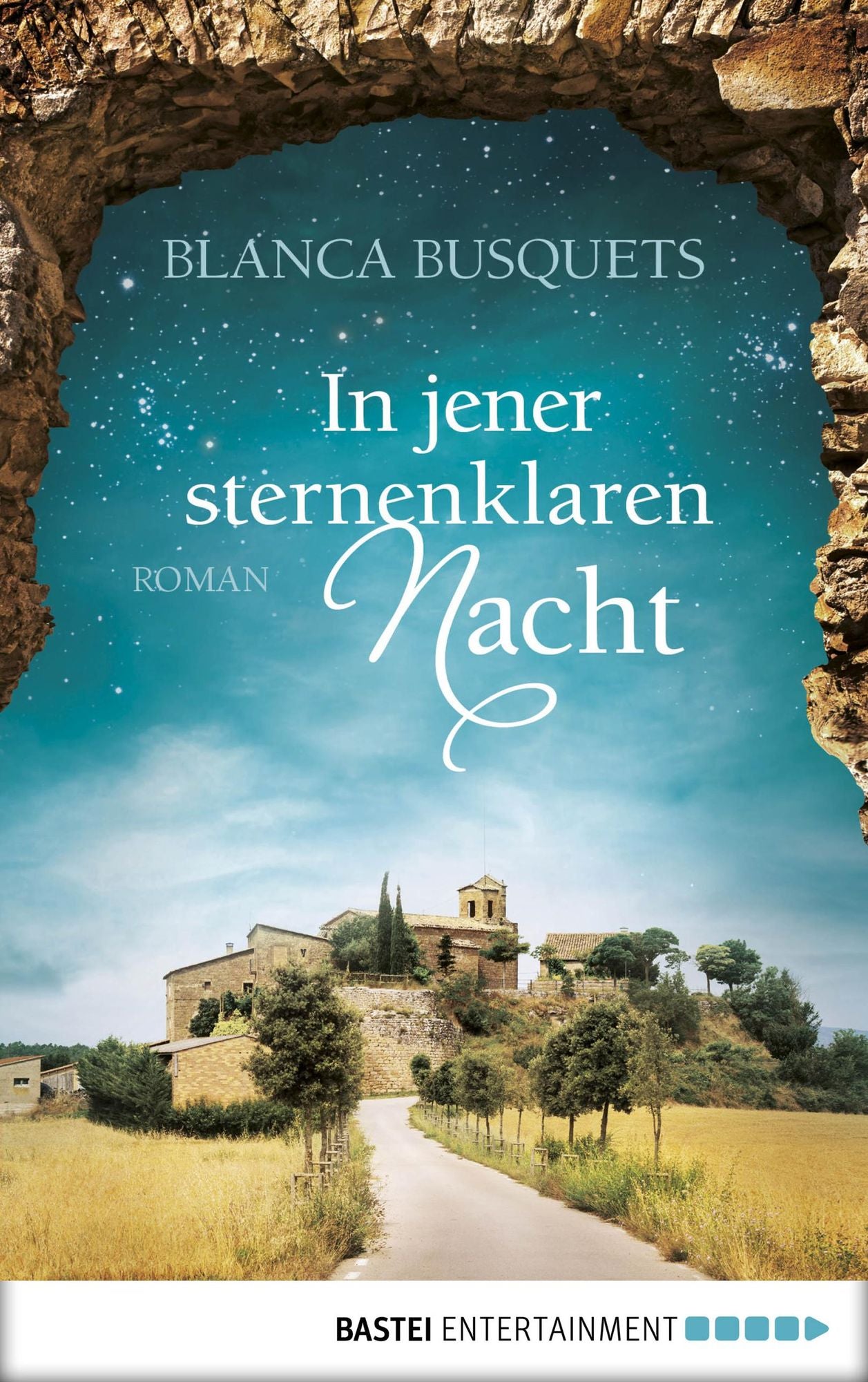 In jener sternenklaren Nacht: Roman