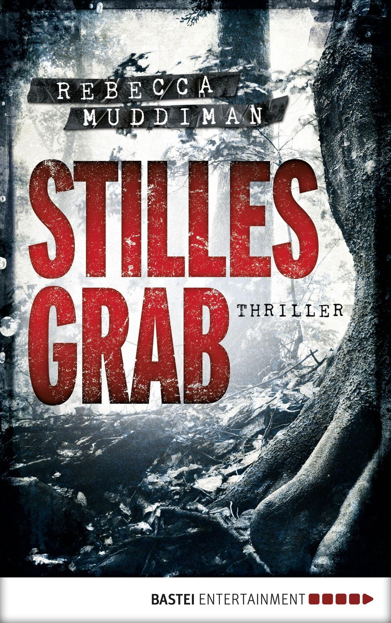 Stilles Grab: Thriller
