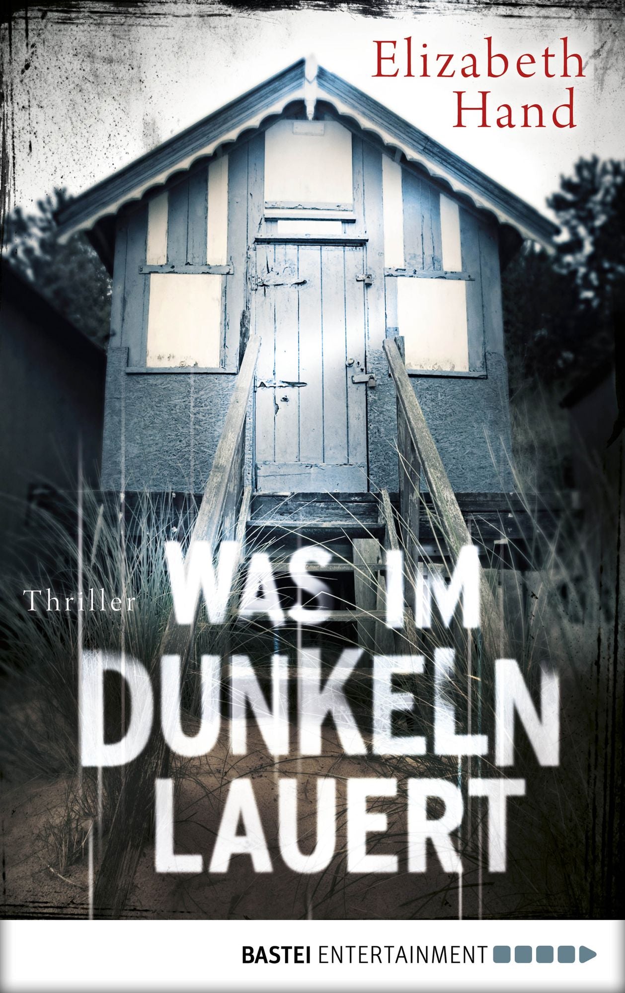 Was im Dunkeln lauert: Thriller