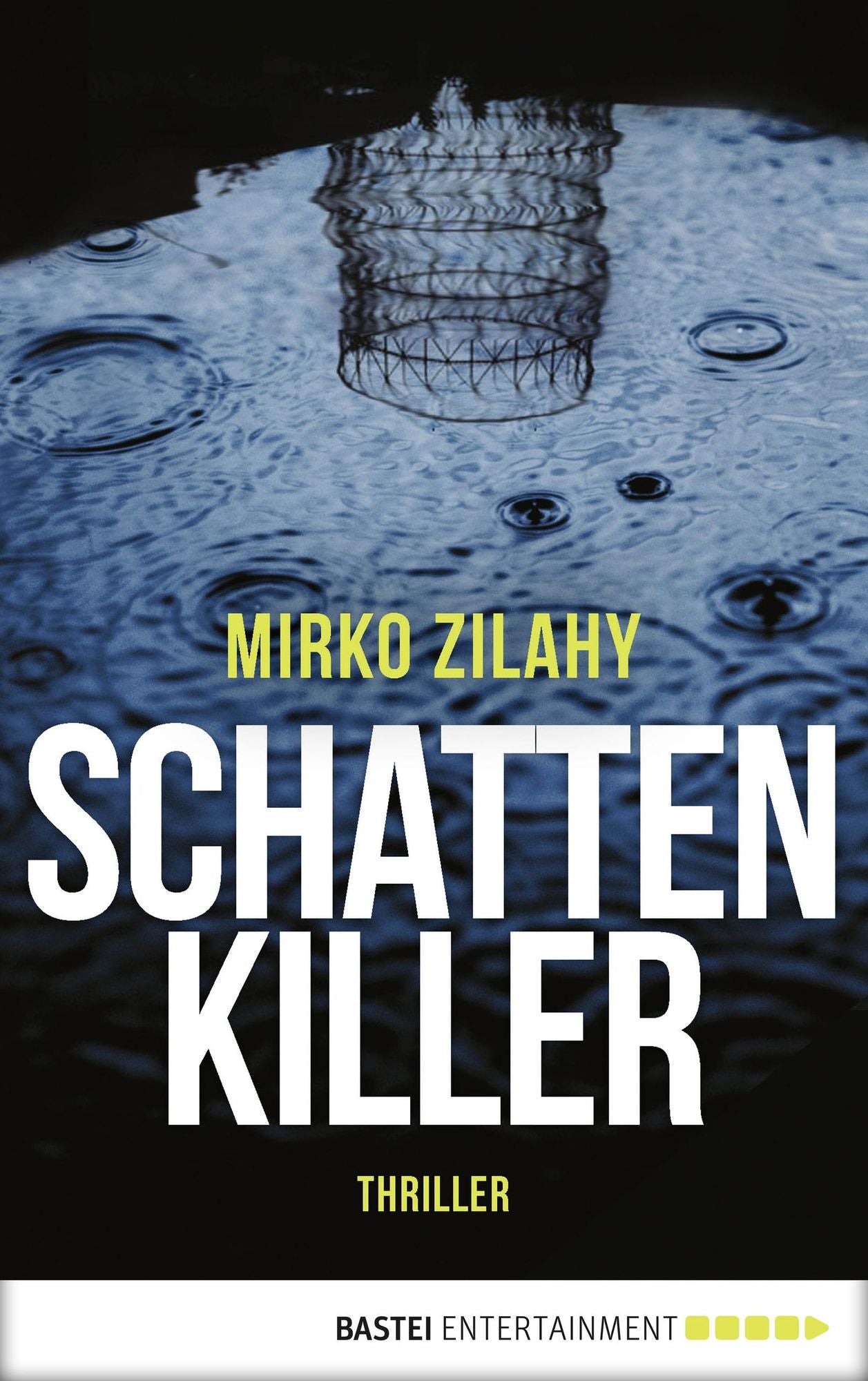 Schattenkiller: Thriller