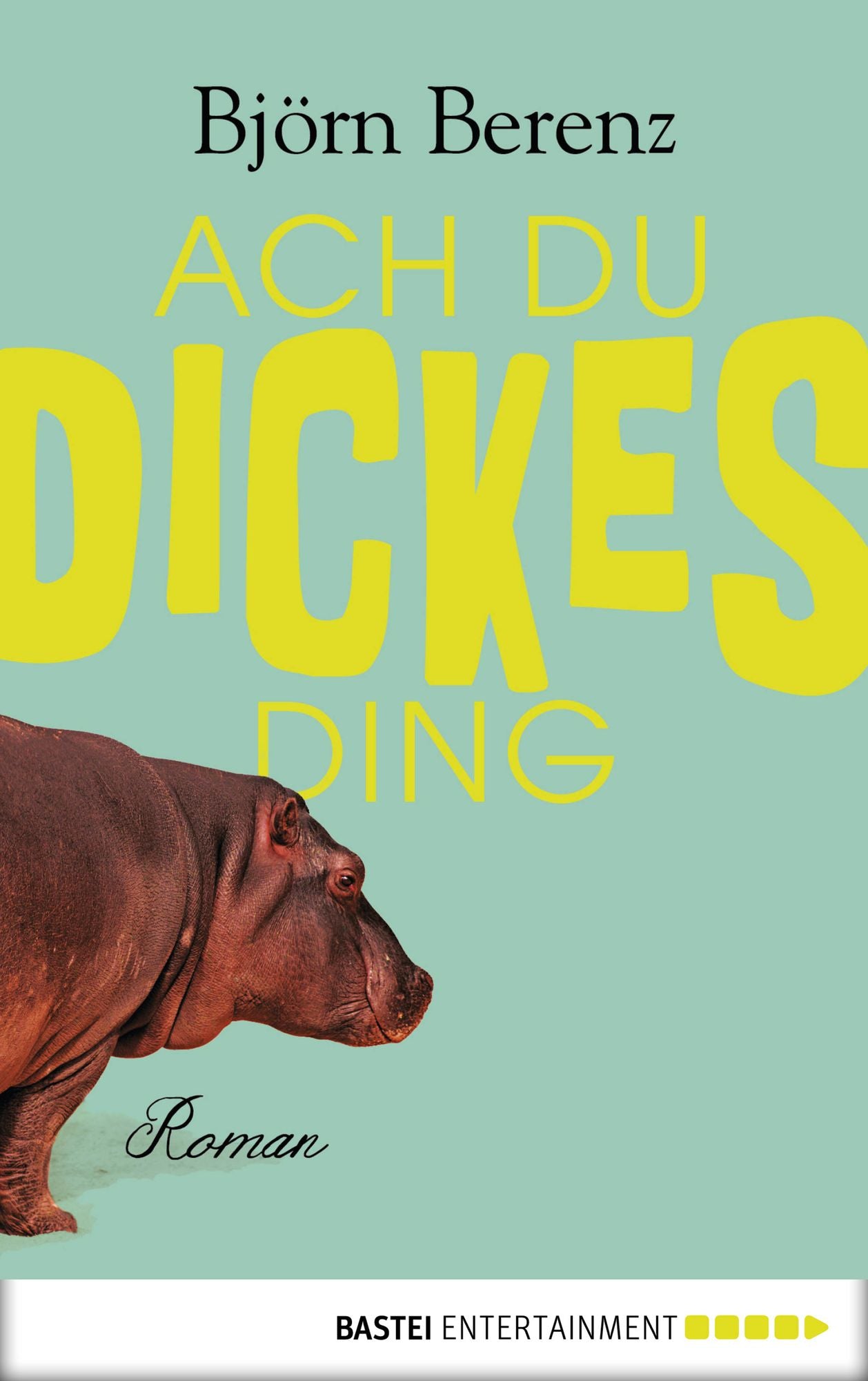 Ach du dickes Ding: Roman