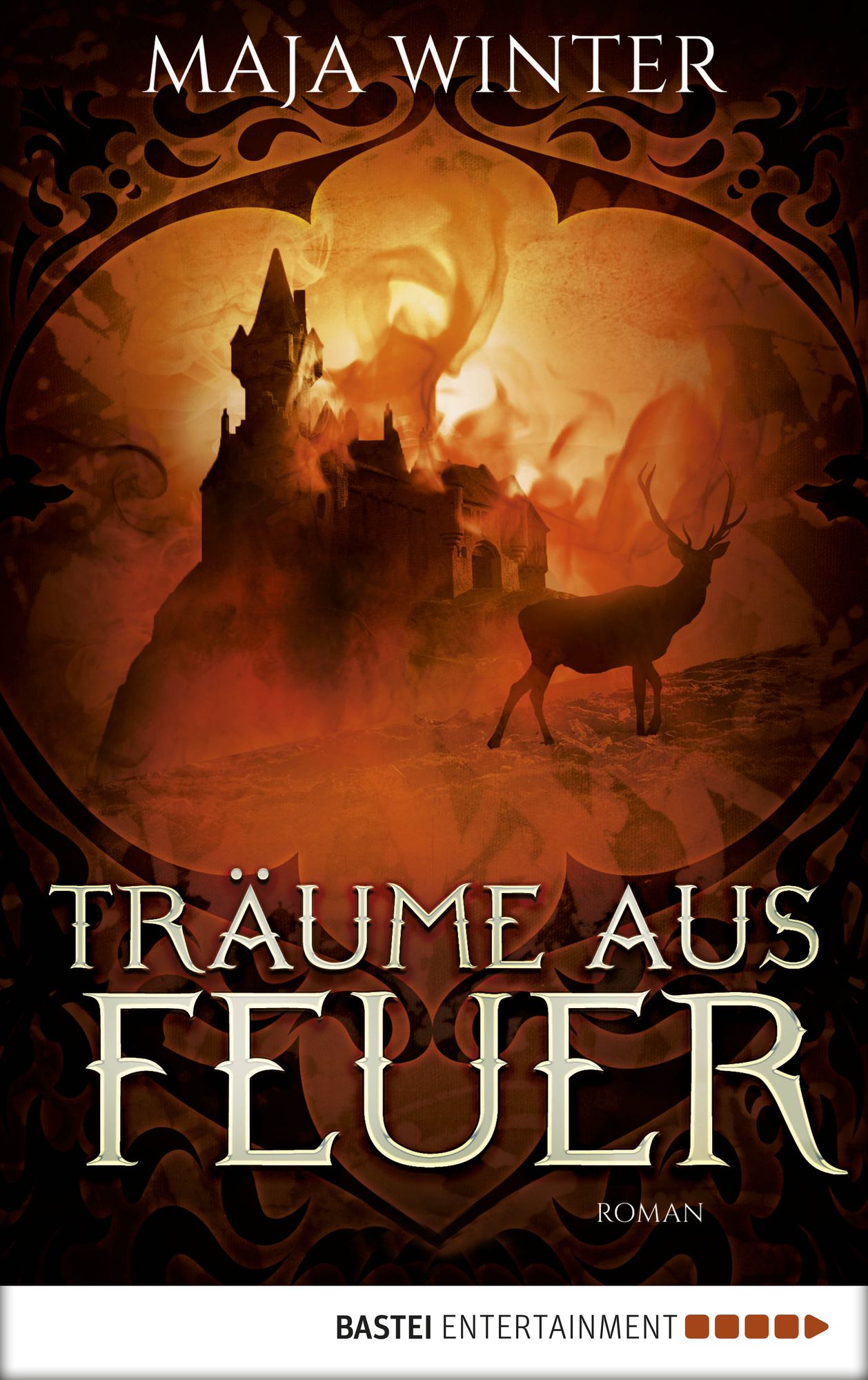 Träume aus Feuer: Roman