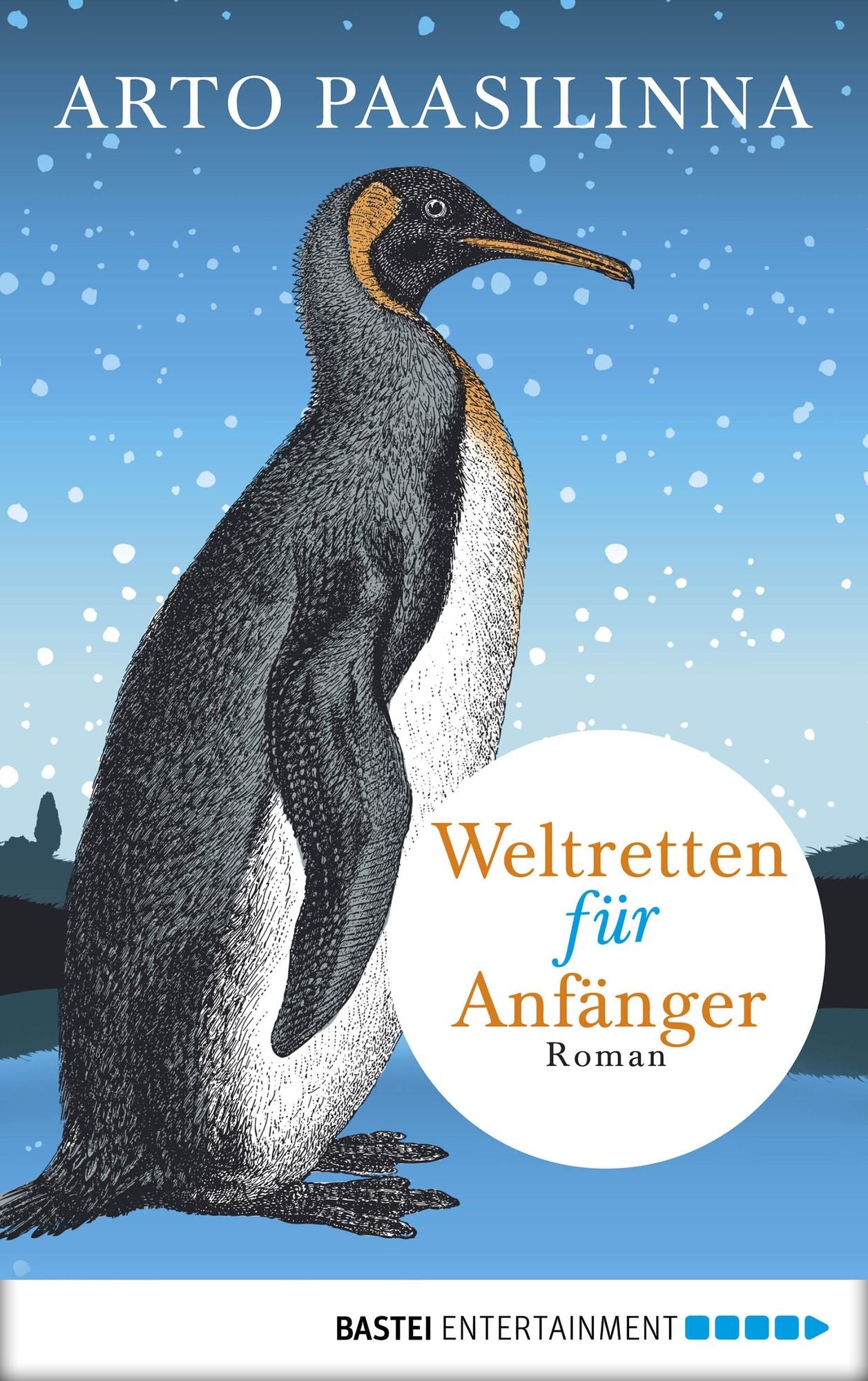 Weltretten für Anfänger: Roman