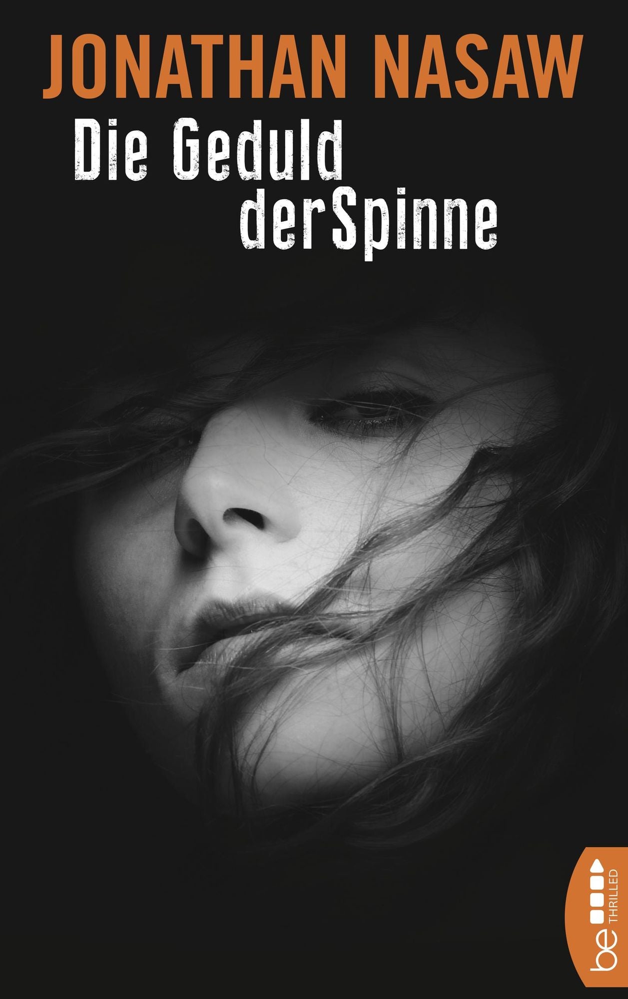 Die Geduld der Spinne