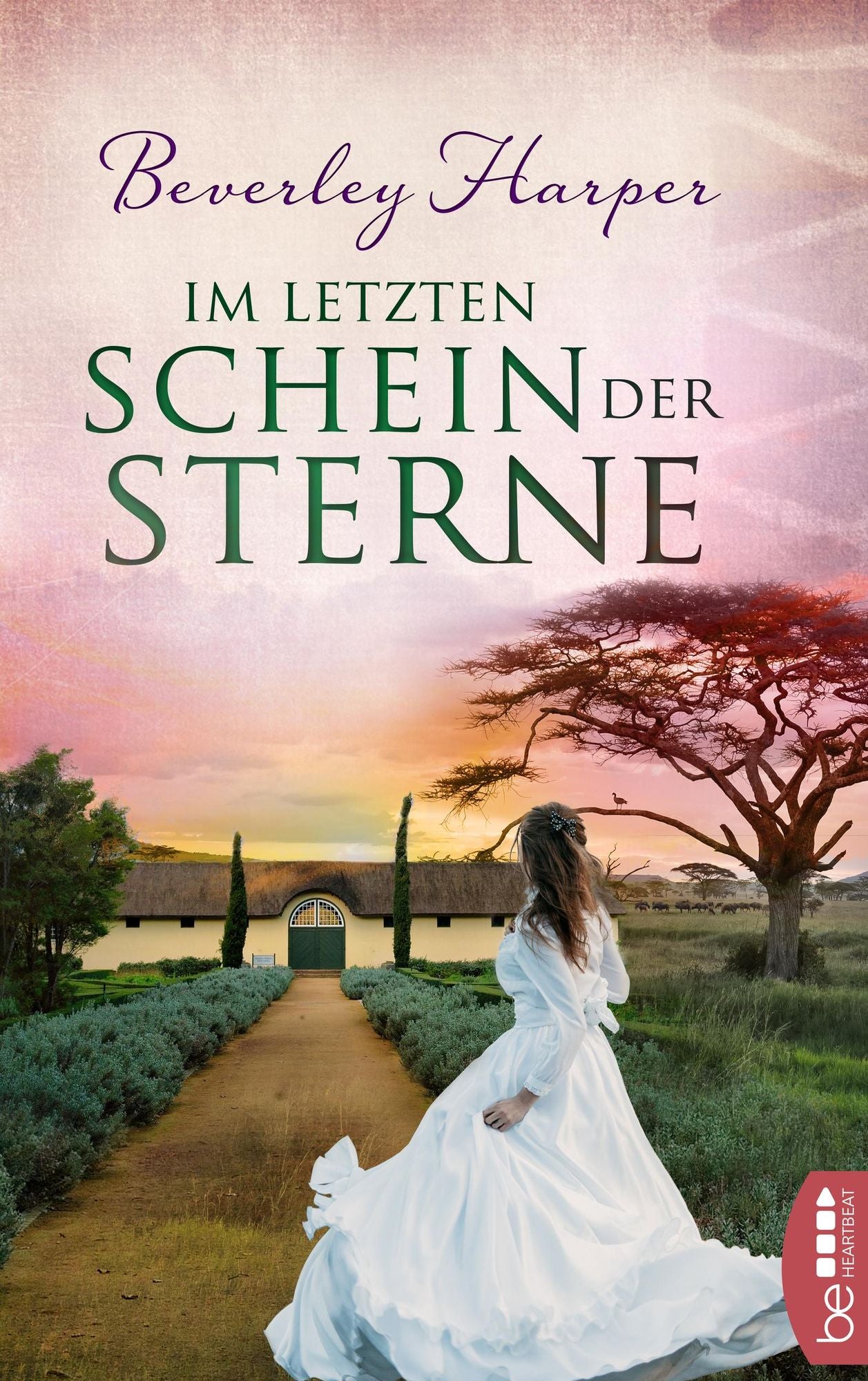 Im letzten Schein der Sterne: Roman .