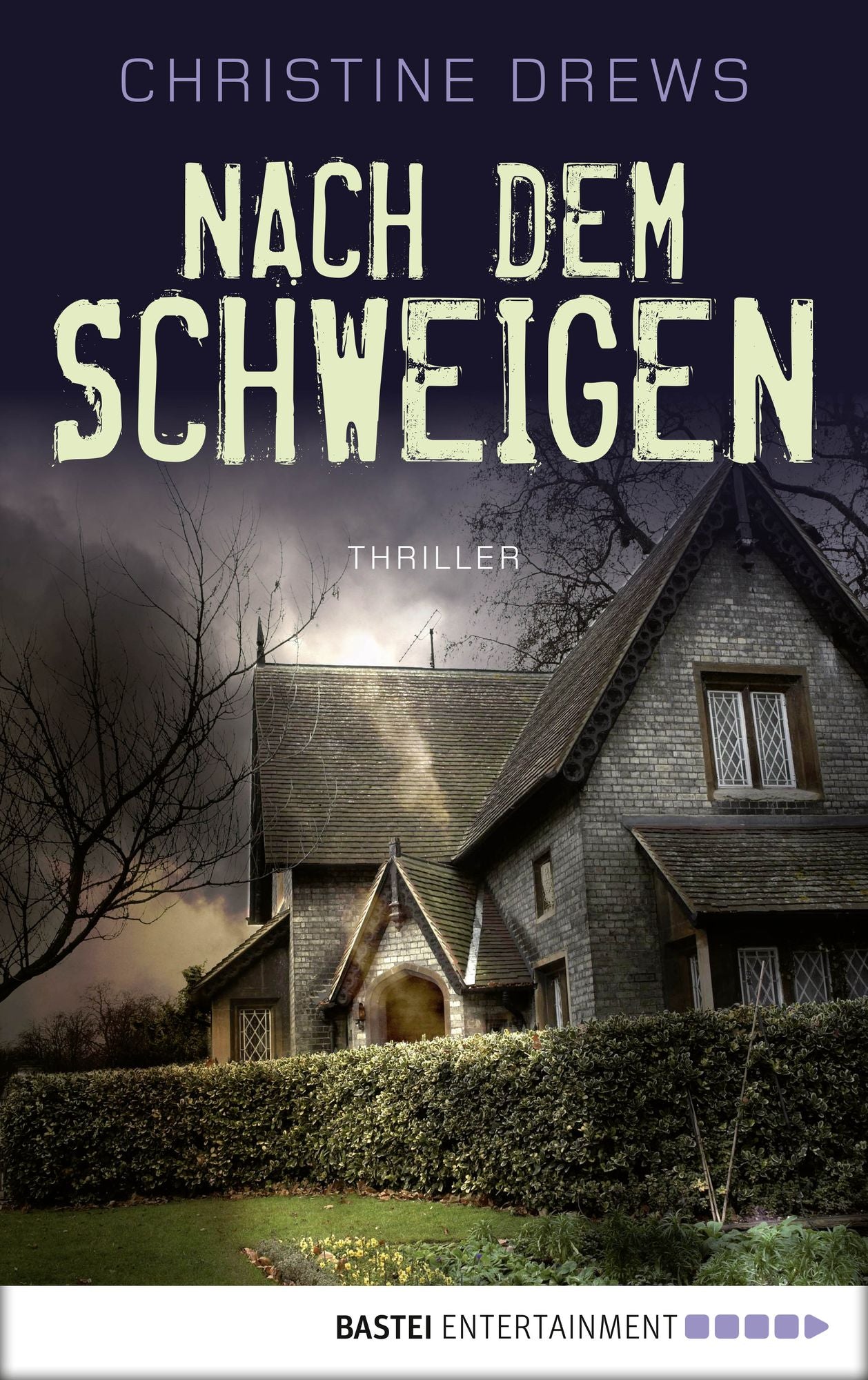 Nach dem Schweigen: Thriller
