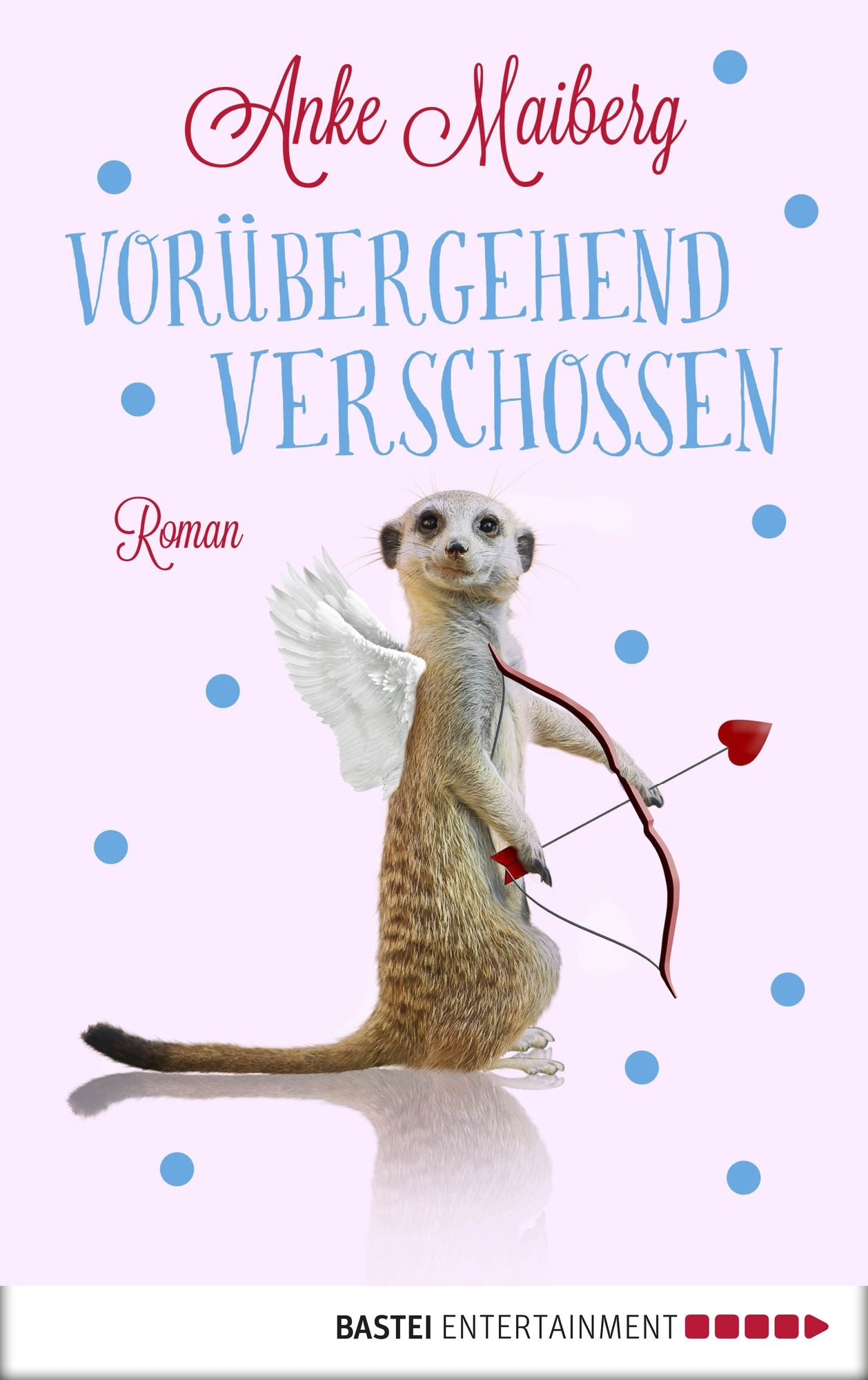 Vorübergehend verschossen: Roman
