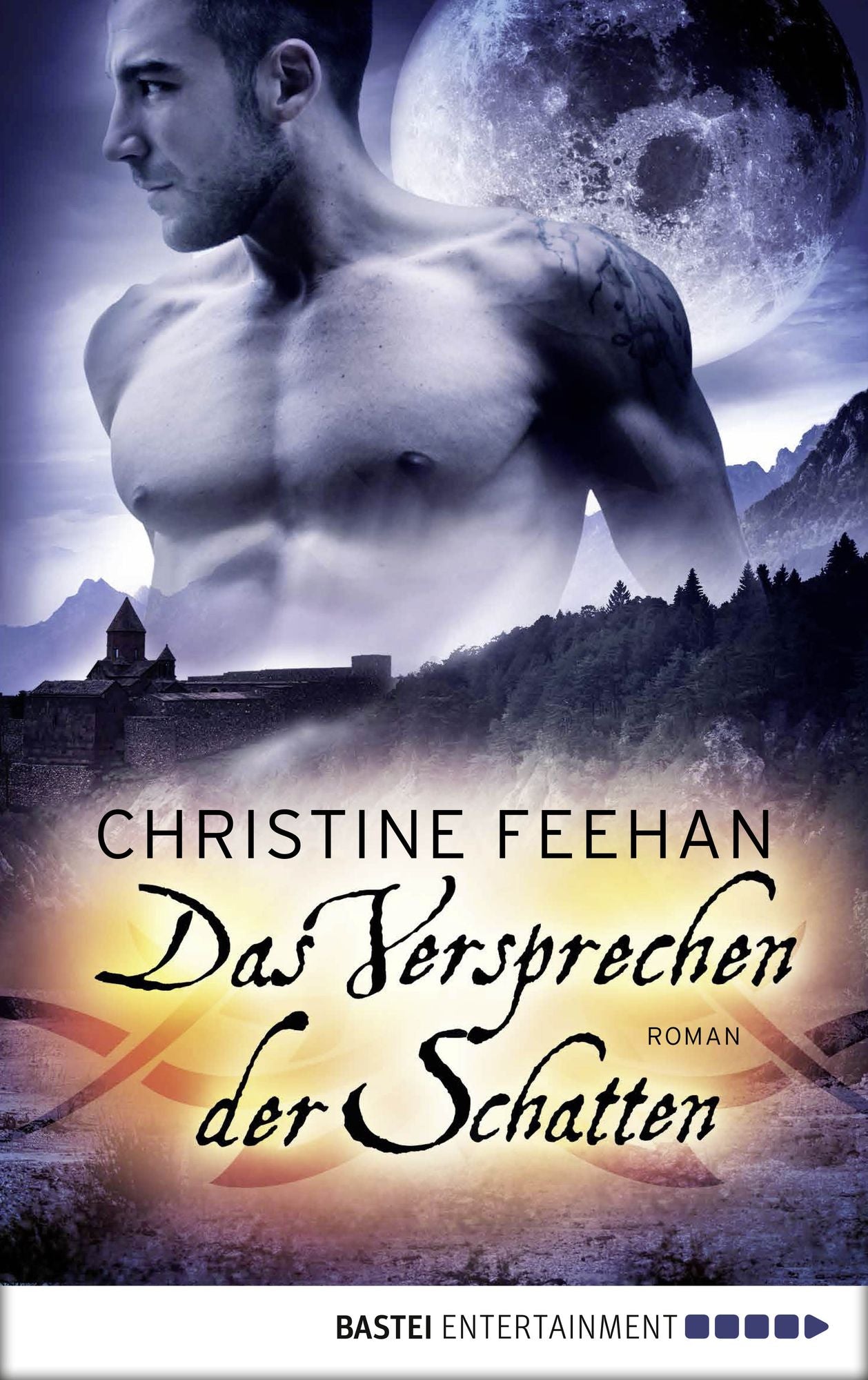 Das Versprechen der Schatten: Roman