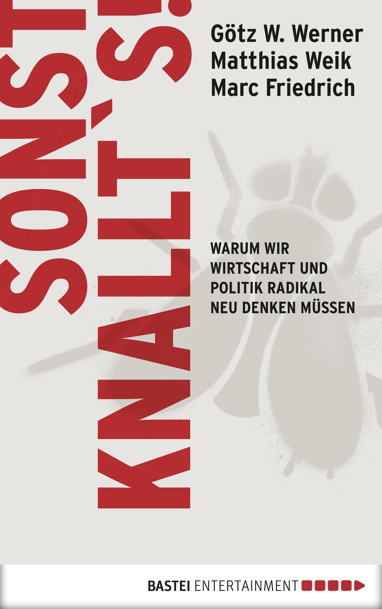 Sonst knallt's!: Warum wir Wirtschaft und Politik radikal neu denken müssen