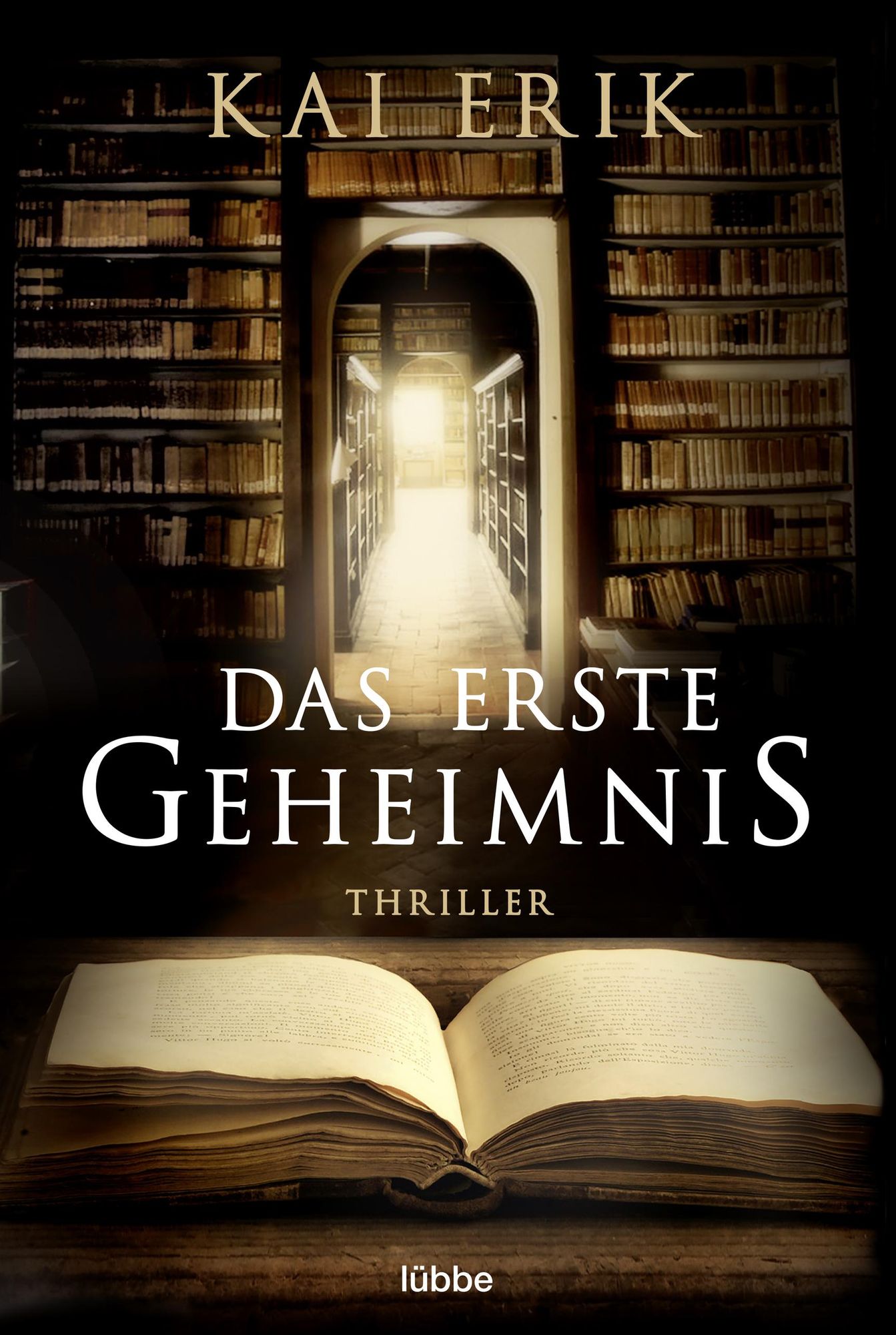 Das böse Buch: Roman