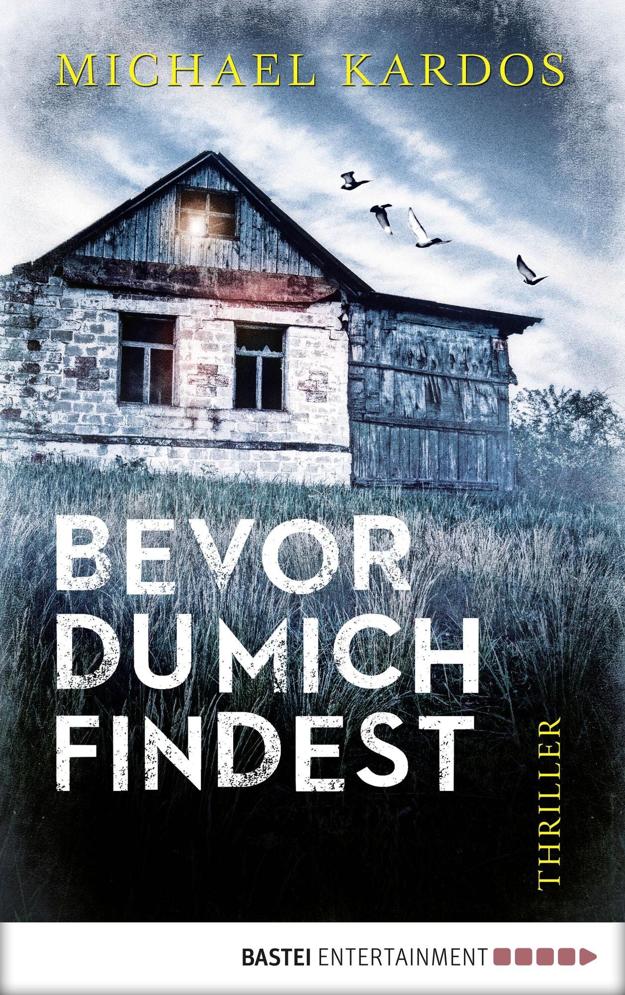 Bevor du mich findest: Thriller